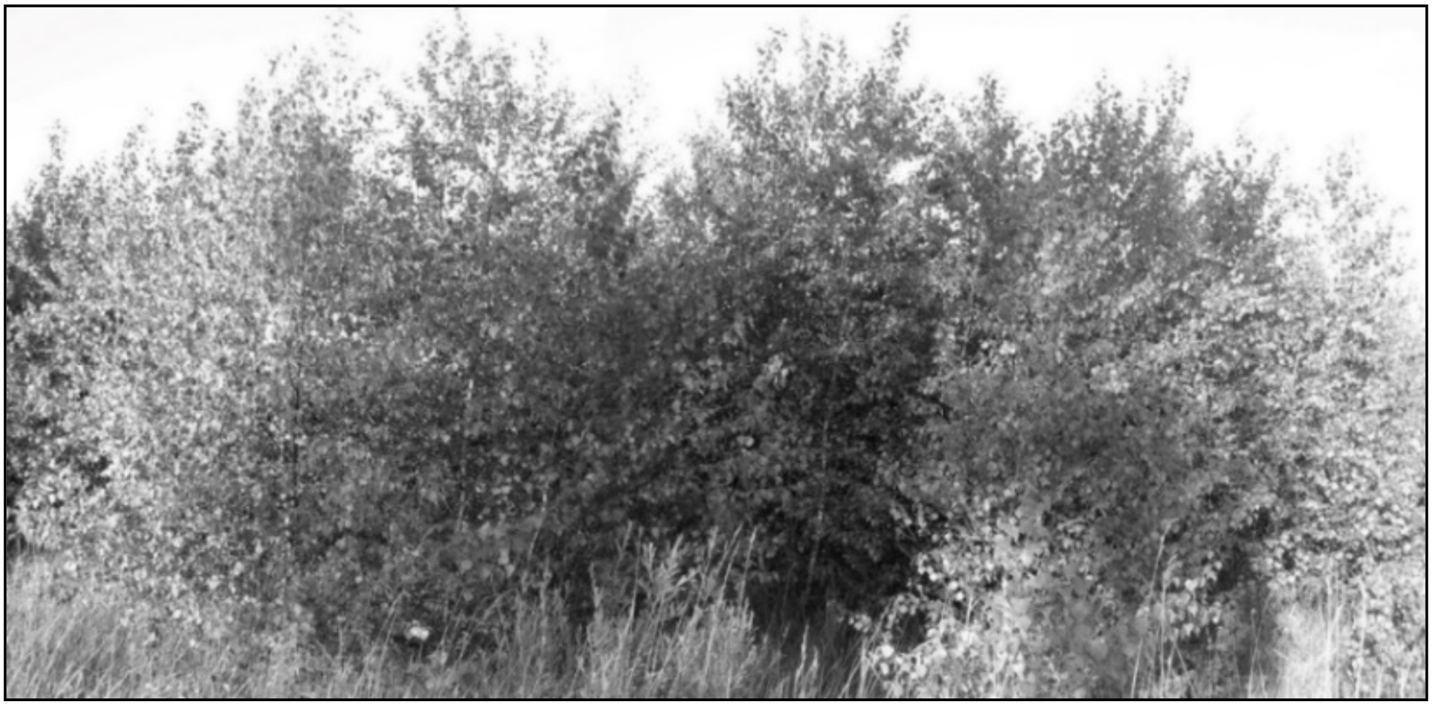 Water 11 01193 g010 Water 11 01193 g010