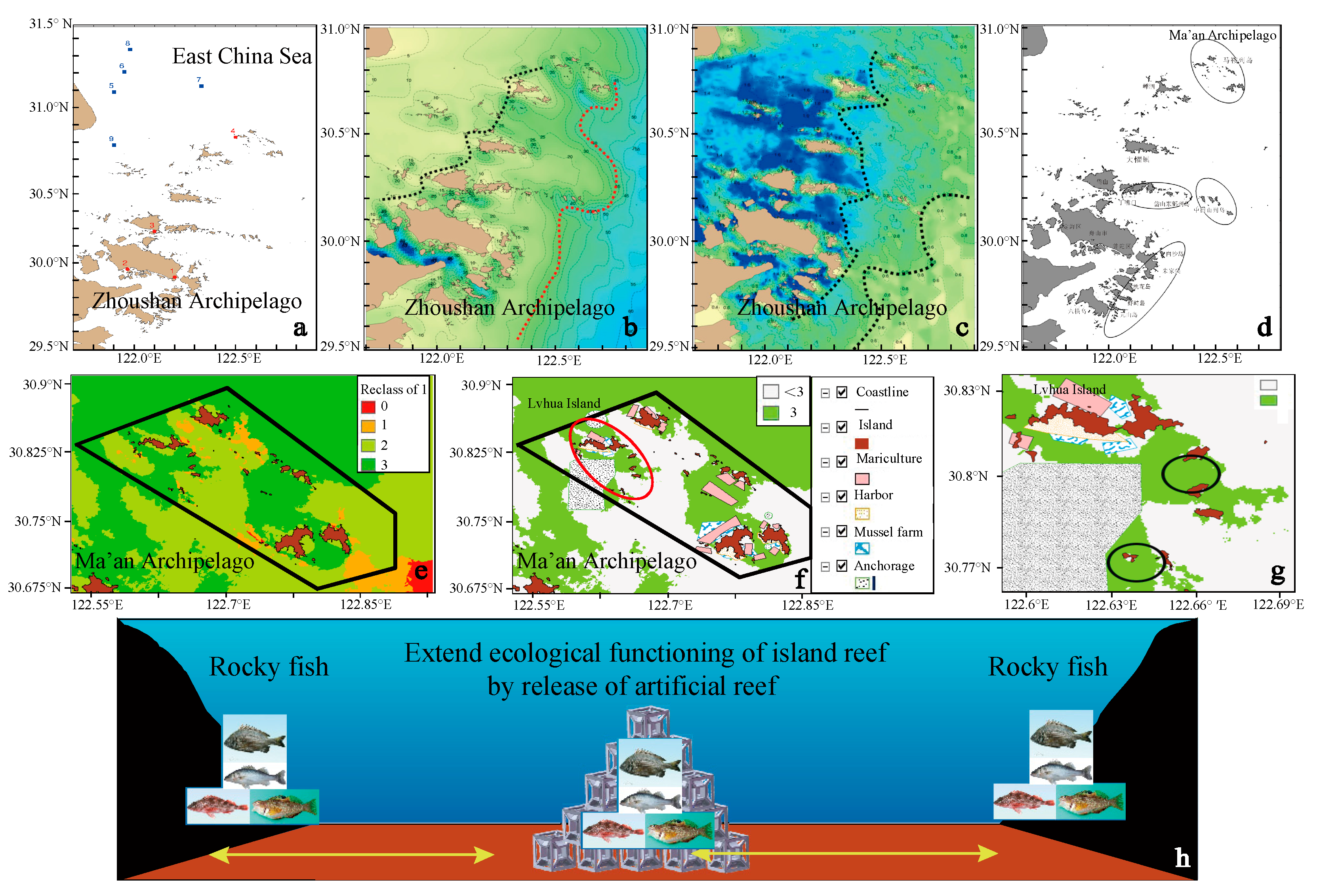 Water Free Full Text Marine Ranching Construction And Management In East China Sea Programs For Sustainable Fishery And Aquaculture Html