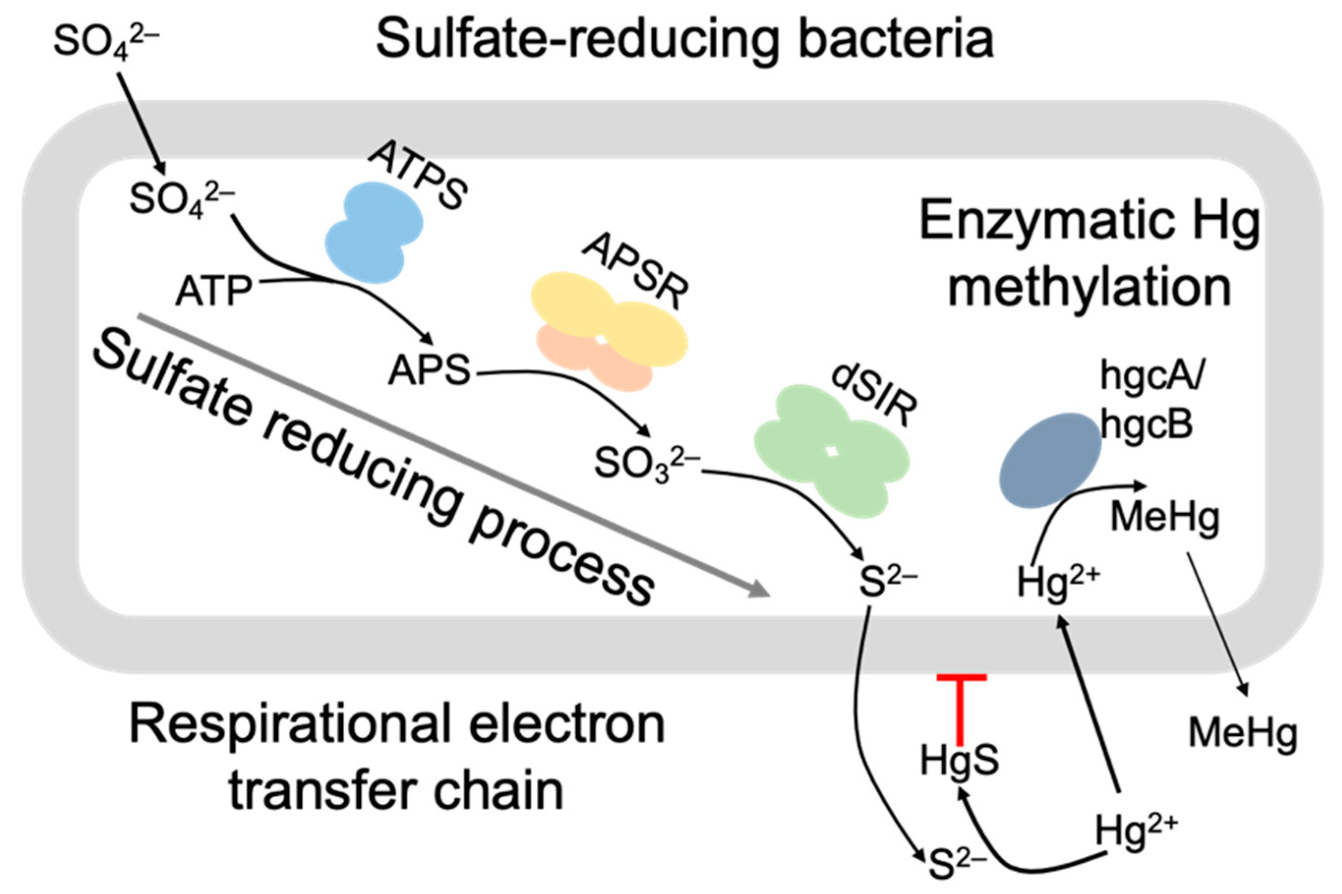 Water 11 01308 g003 Water 11 01308 g003
