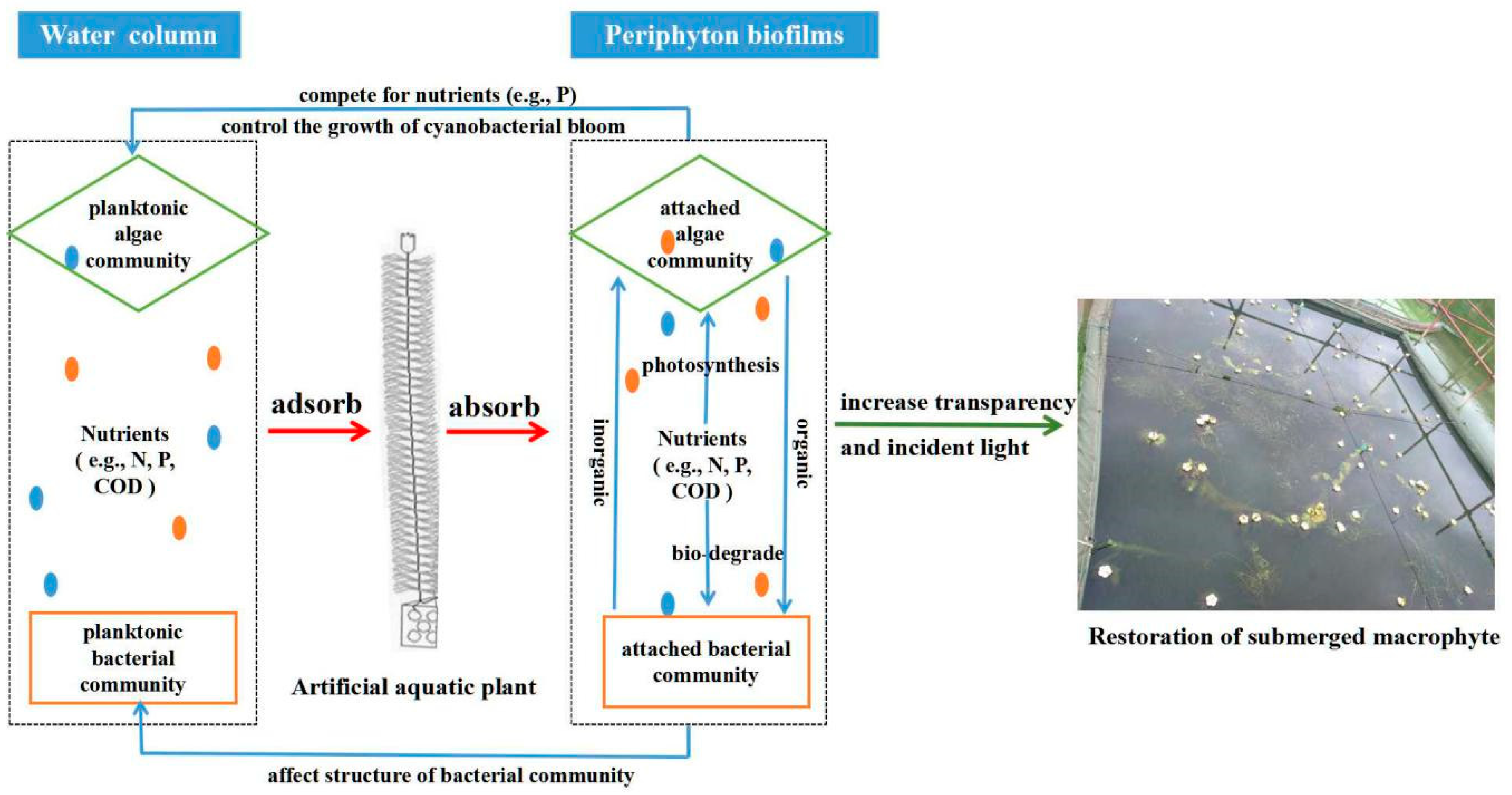 Water 11 01370 g008 Water 11 01370 g008