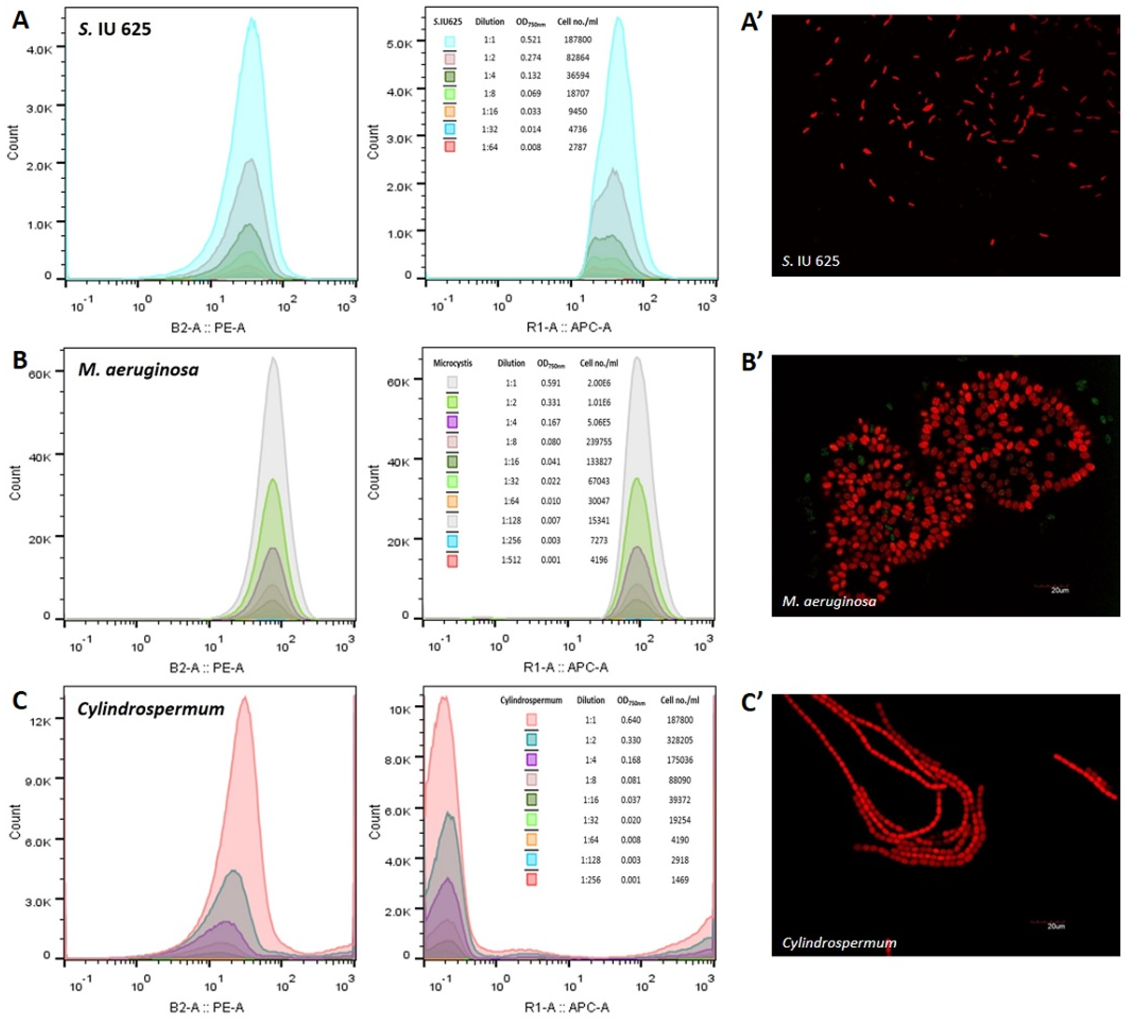Water 11 01422 g002 Water 11 01422 g002