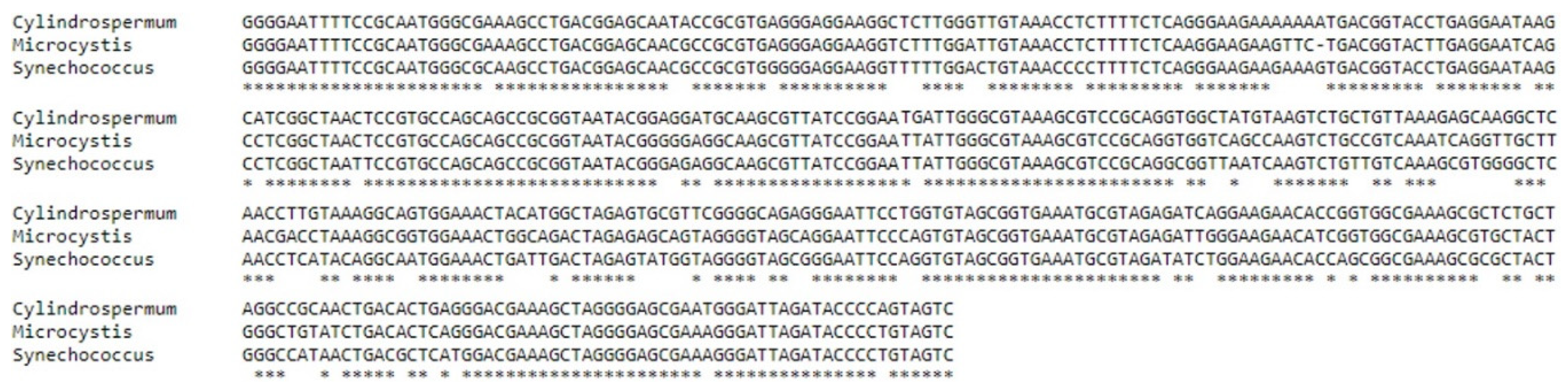 Water 11 01422 g004 Water 11 01422 g004