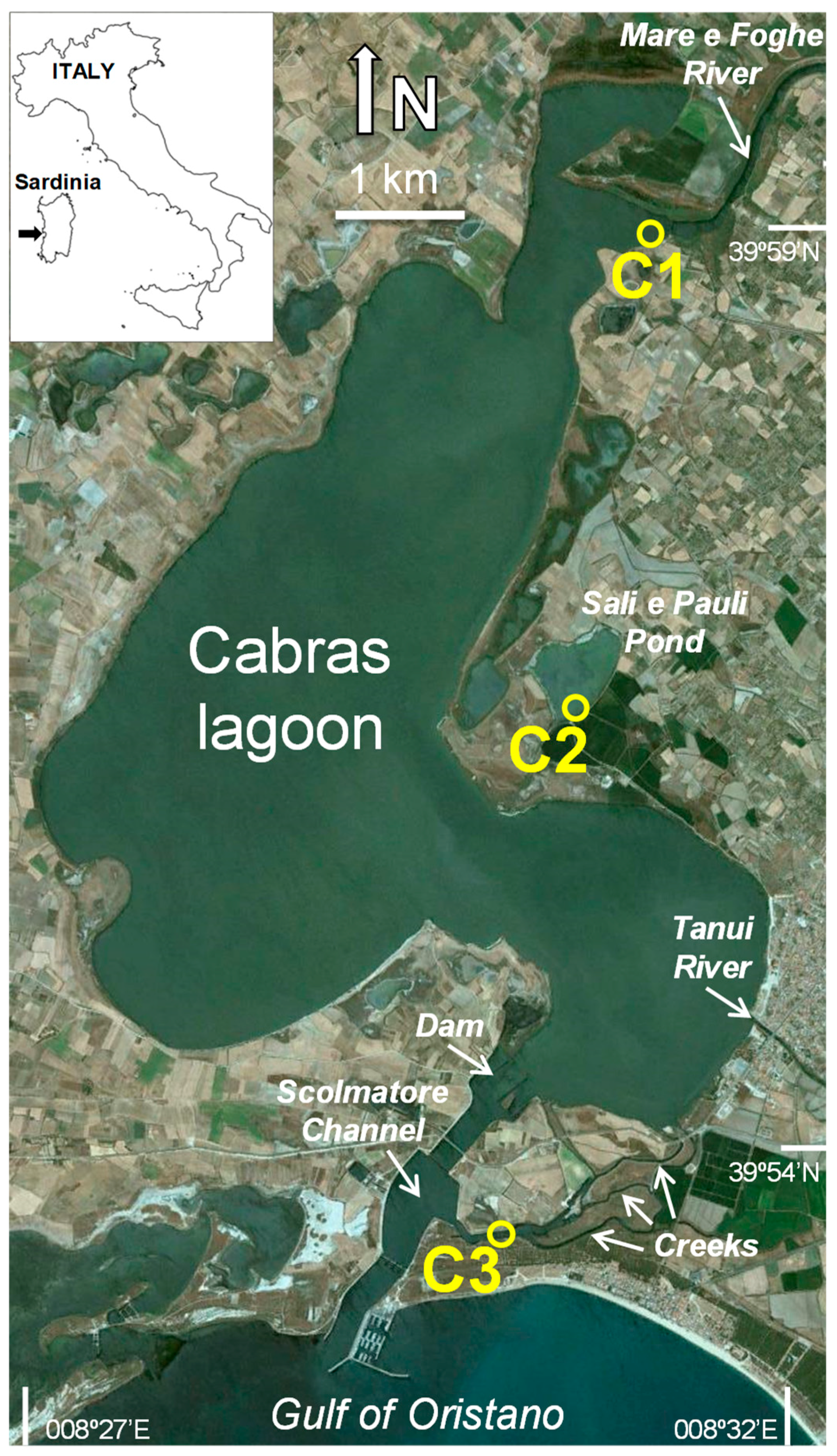 Water 11 01488 g001 Water 11 01488 g001