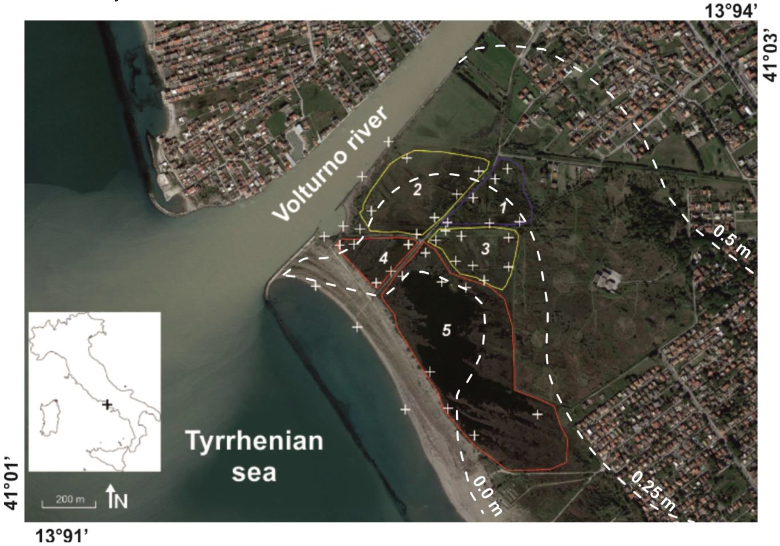 Water 11 01502 g001 Water 11 01502 g001