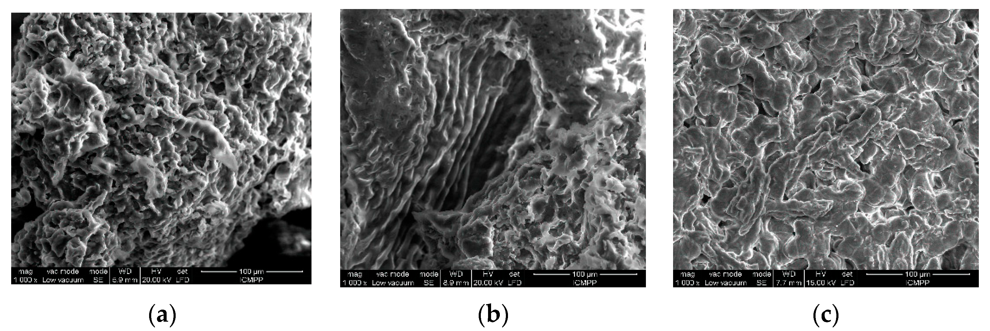 Water 11 01565 g001
