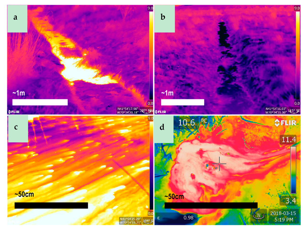 Water 11 01568 g002 Water 11 01568 g002