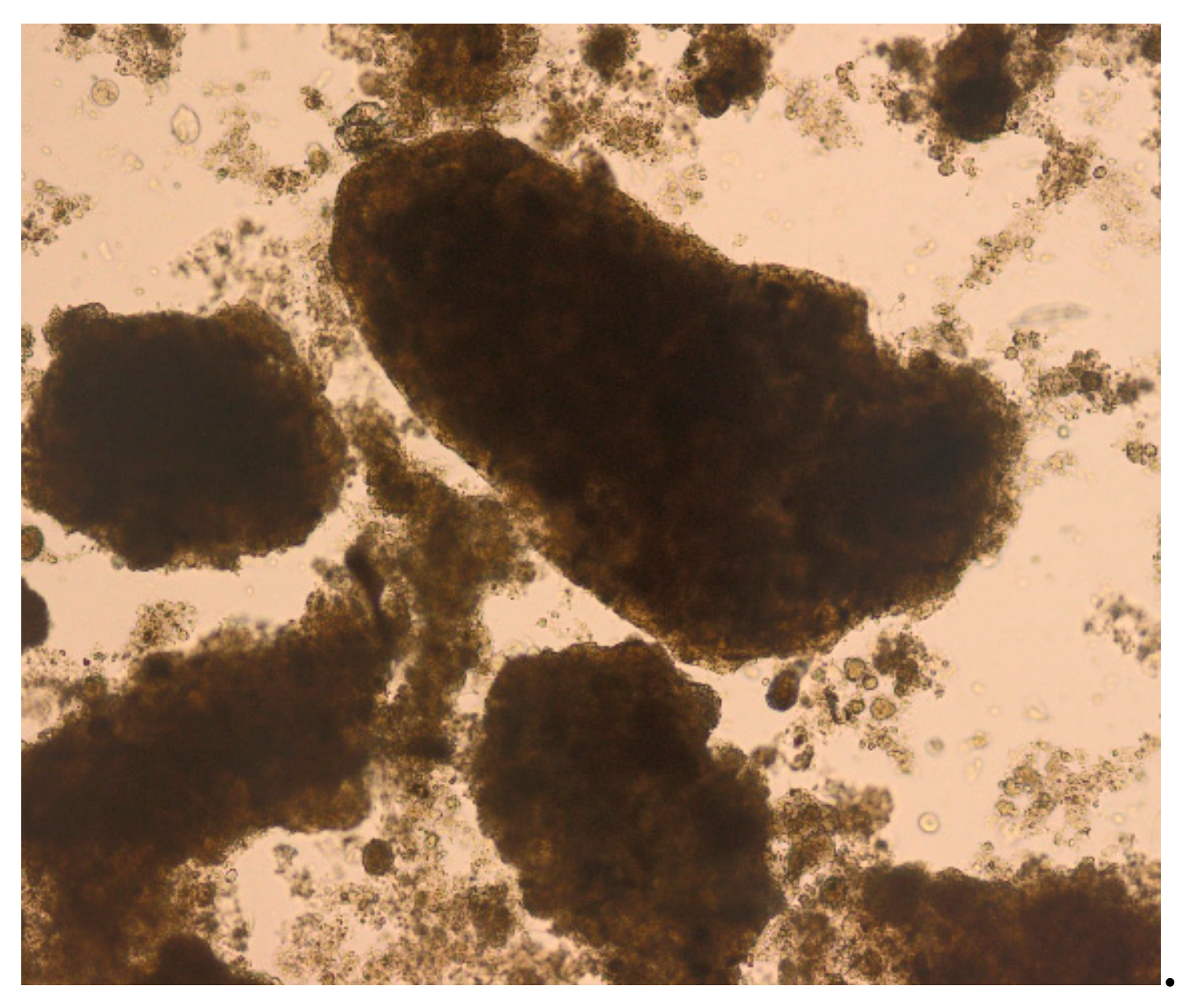 Water 11 01594 g001 550