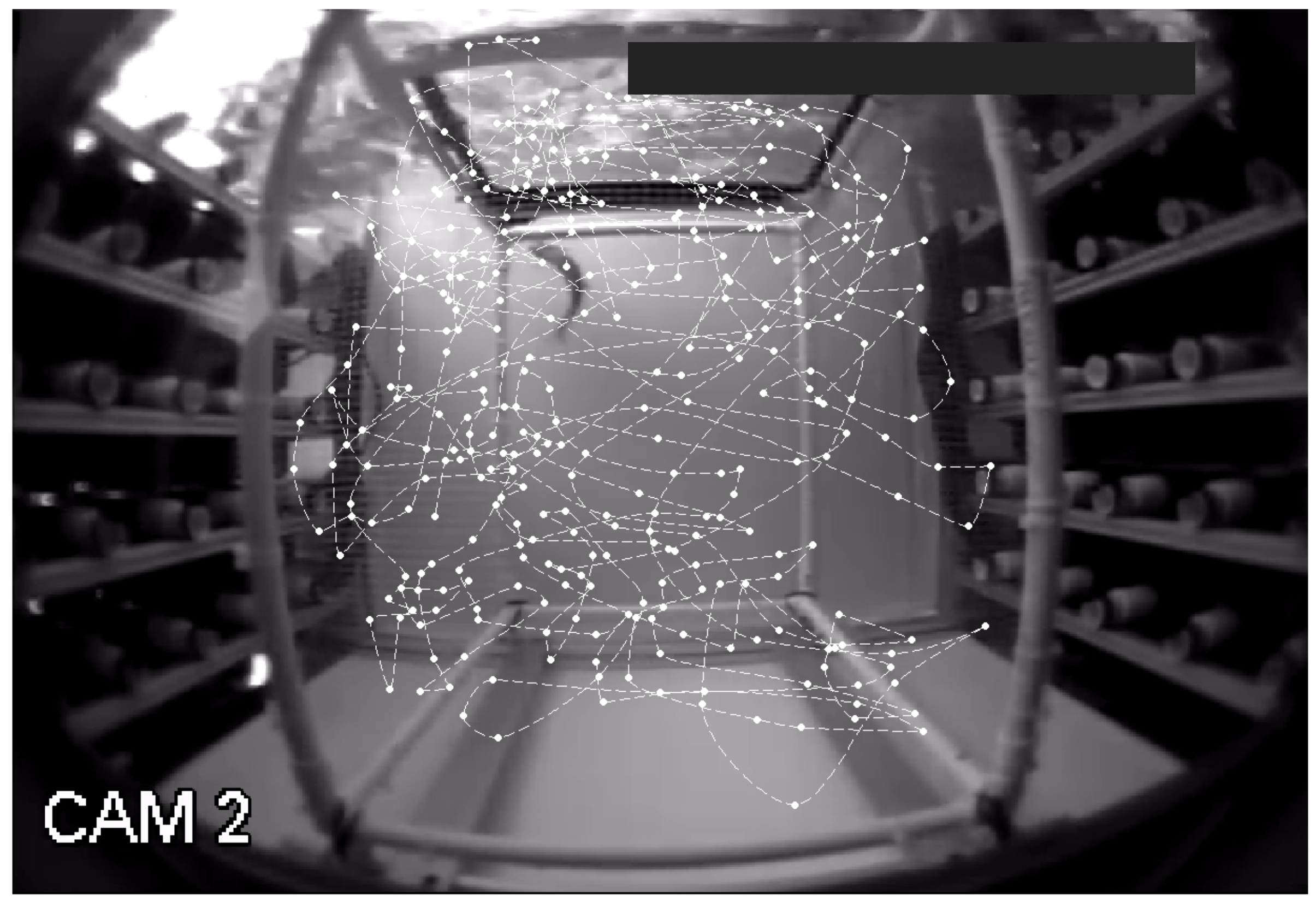 Water 11 01715 g003 Water 11 01715 g003