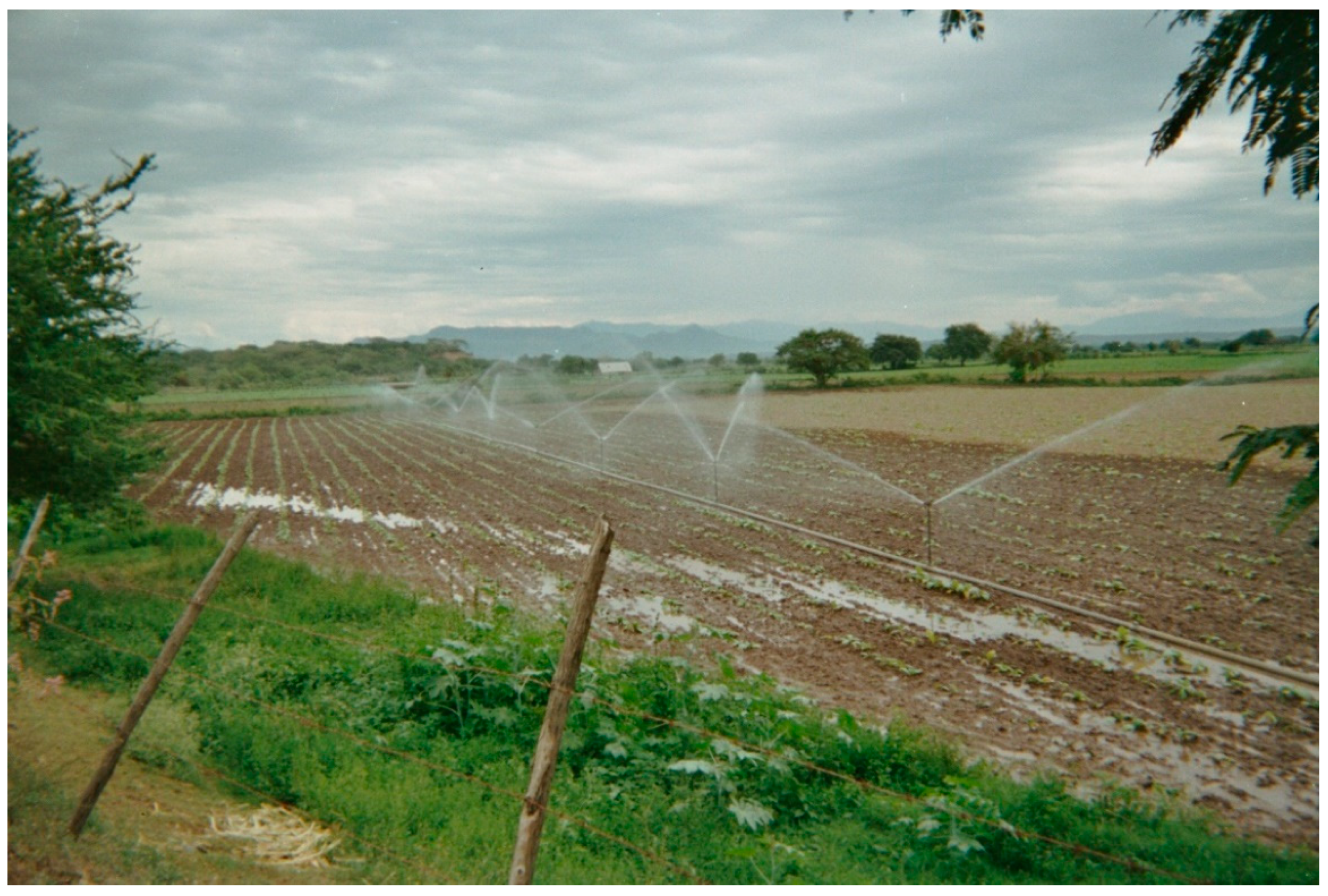 Water 11 01751 g002