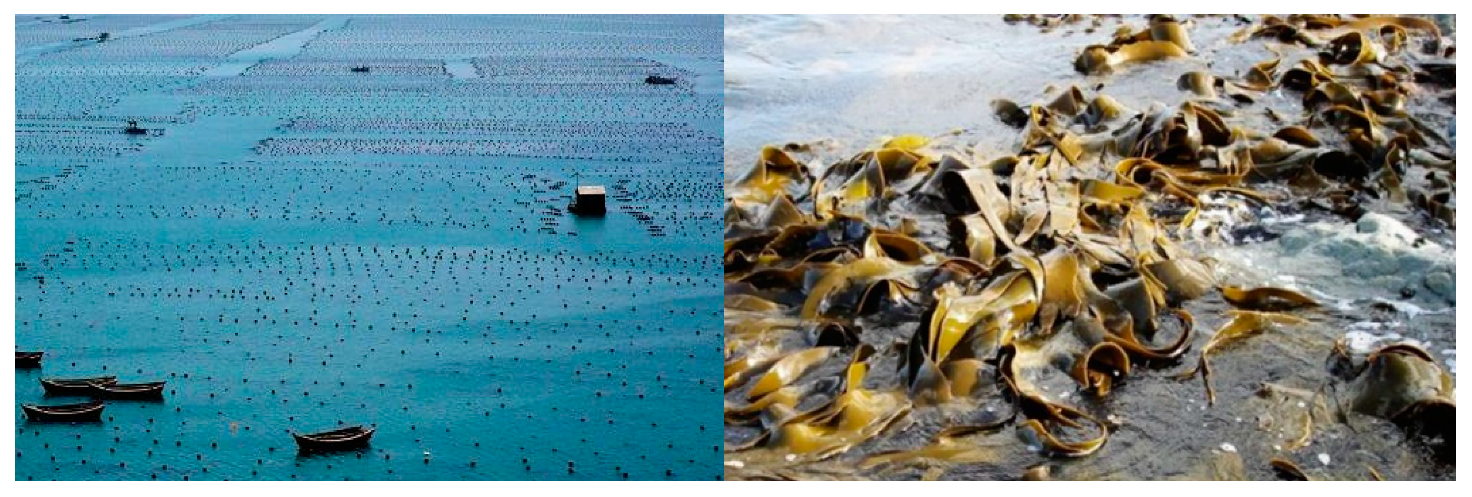 Water 11 01754 g001 Water 11 01754 g001