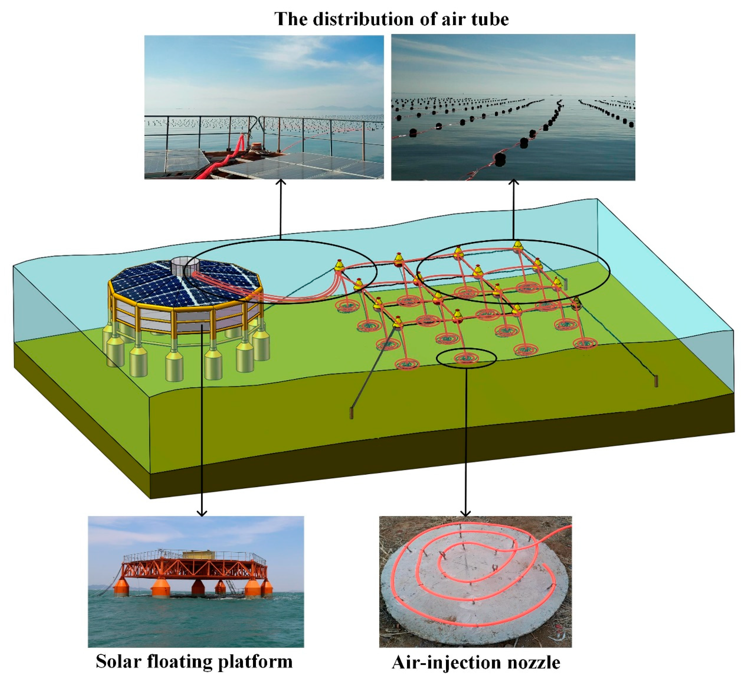 Water 11 01754 g003 Water 11 01754 g003