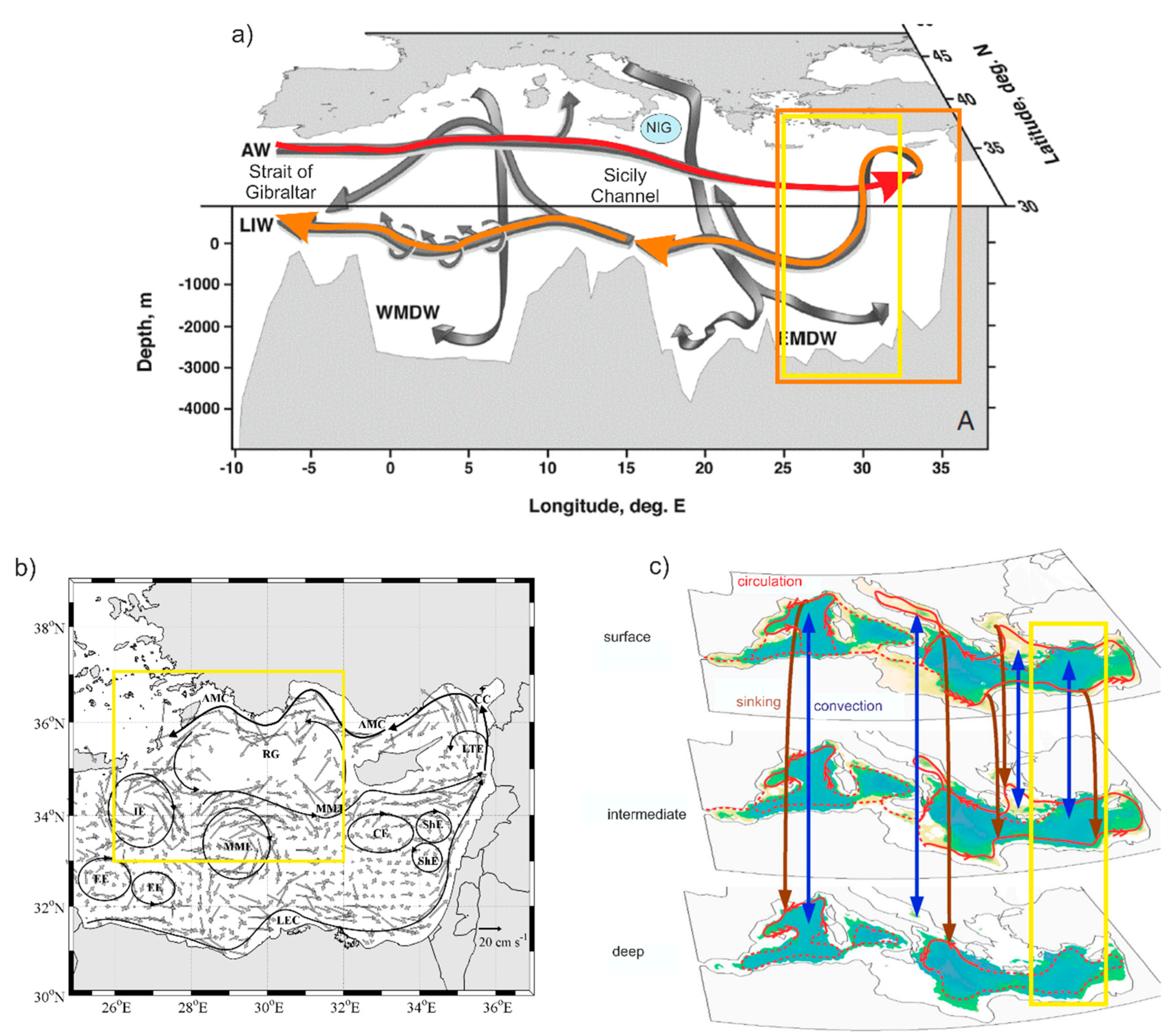 Water 11 01781 g001 Water 11 01781 g001