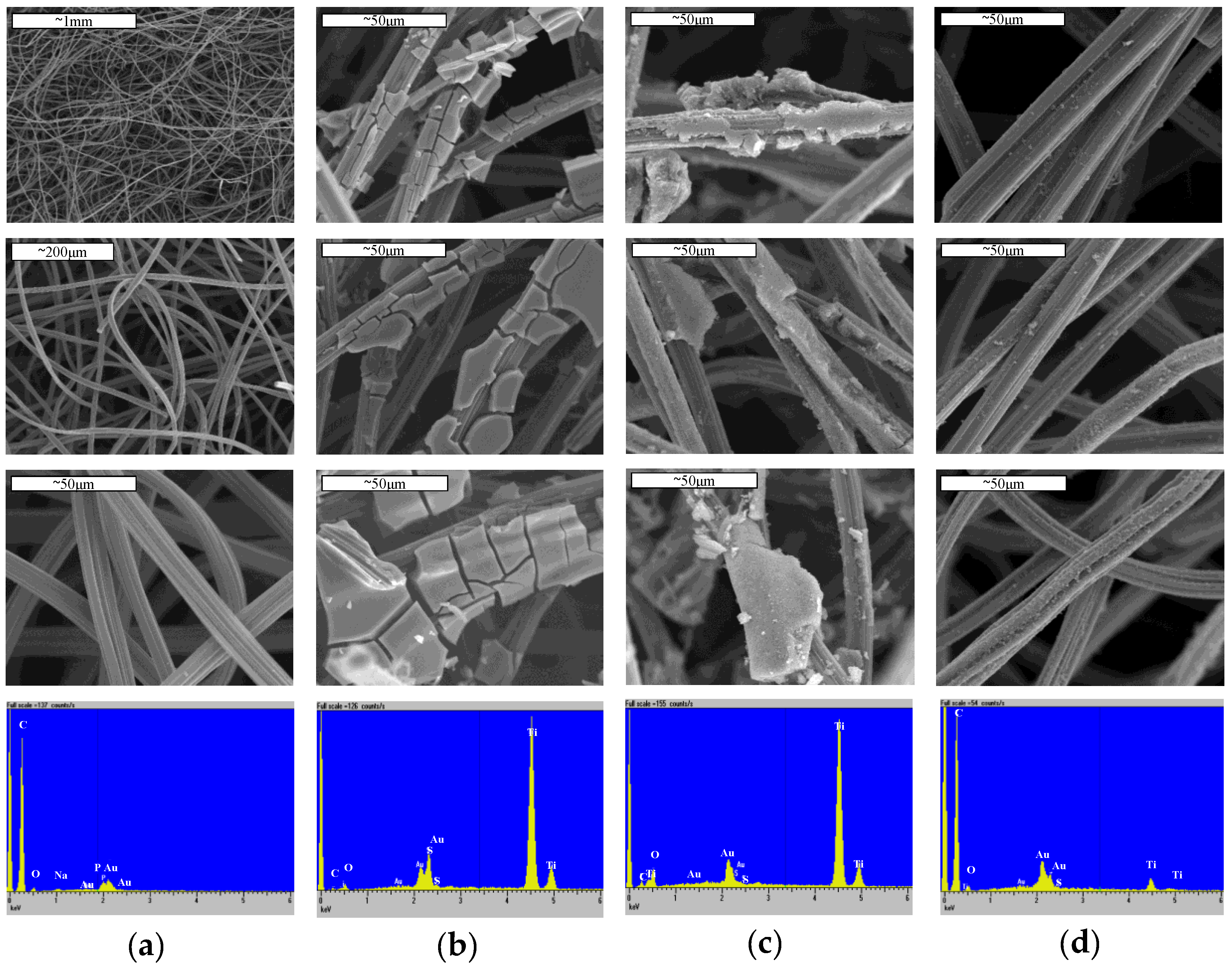 Water 11 01794 g001 550