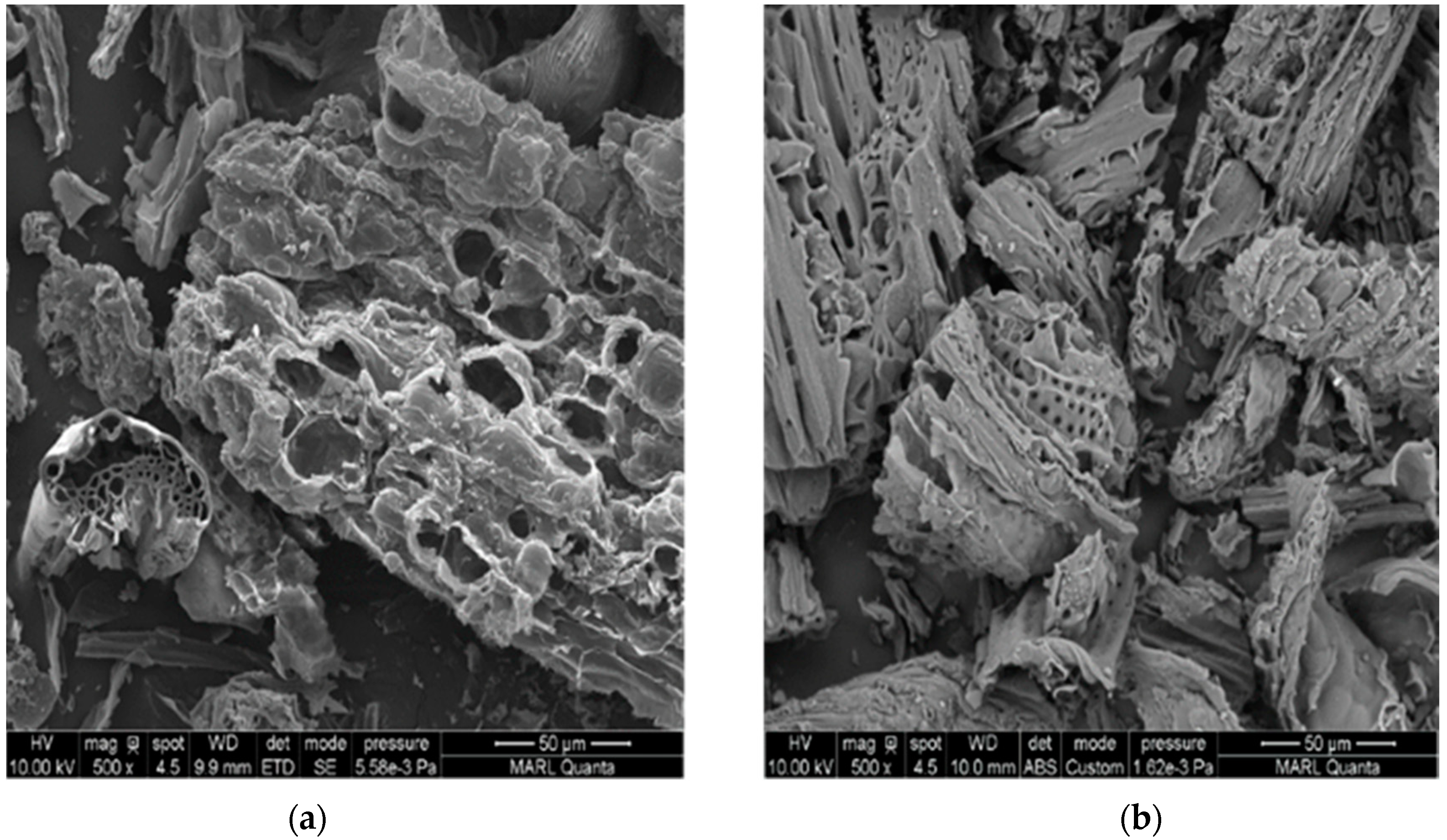 Water 11 01802 g012 Water 11 01802 g012