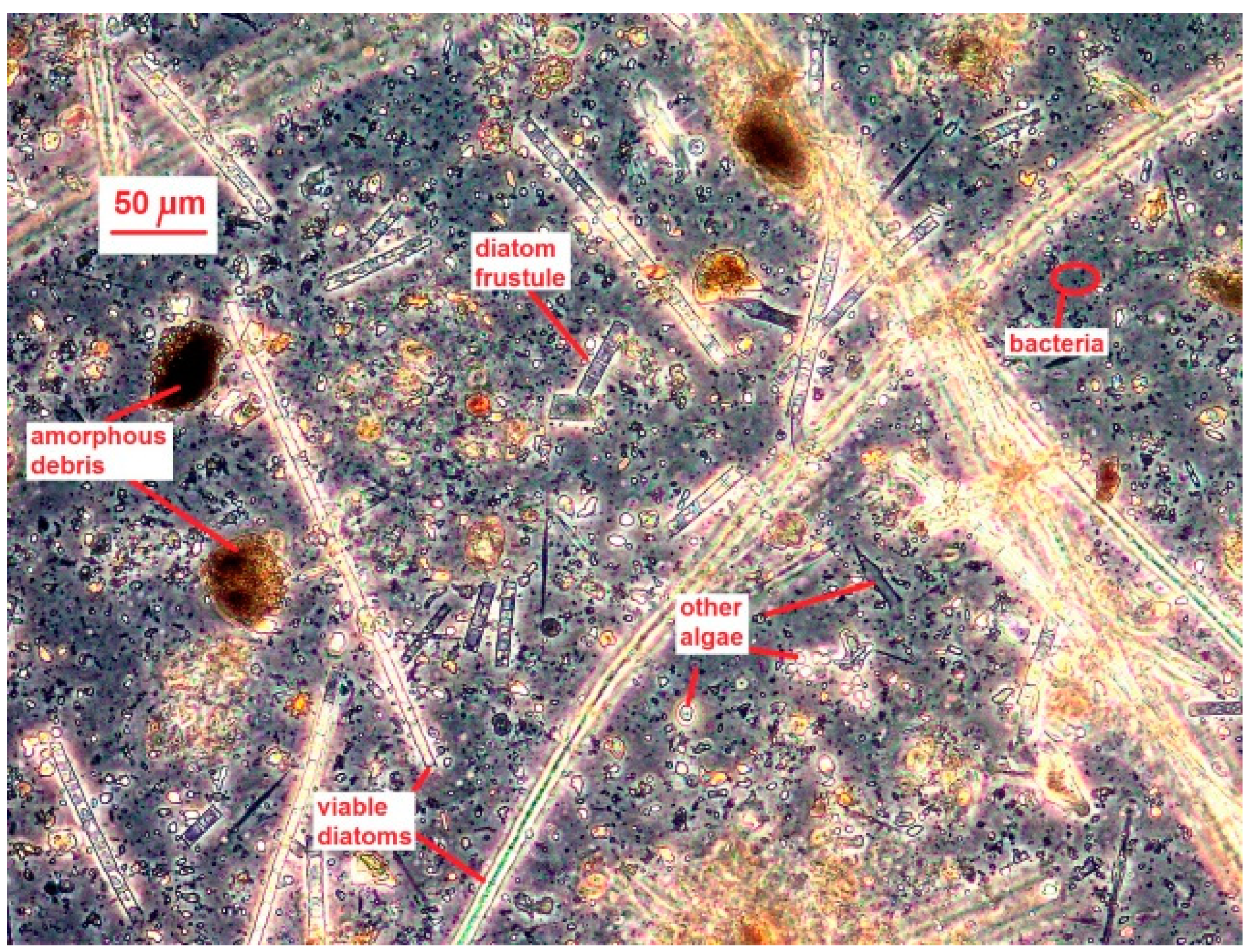 Water 11 01807 g005 550