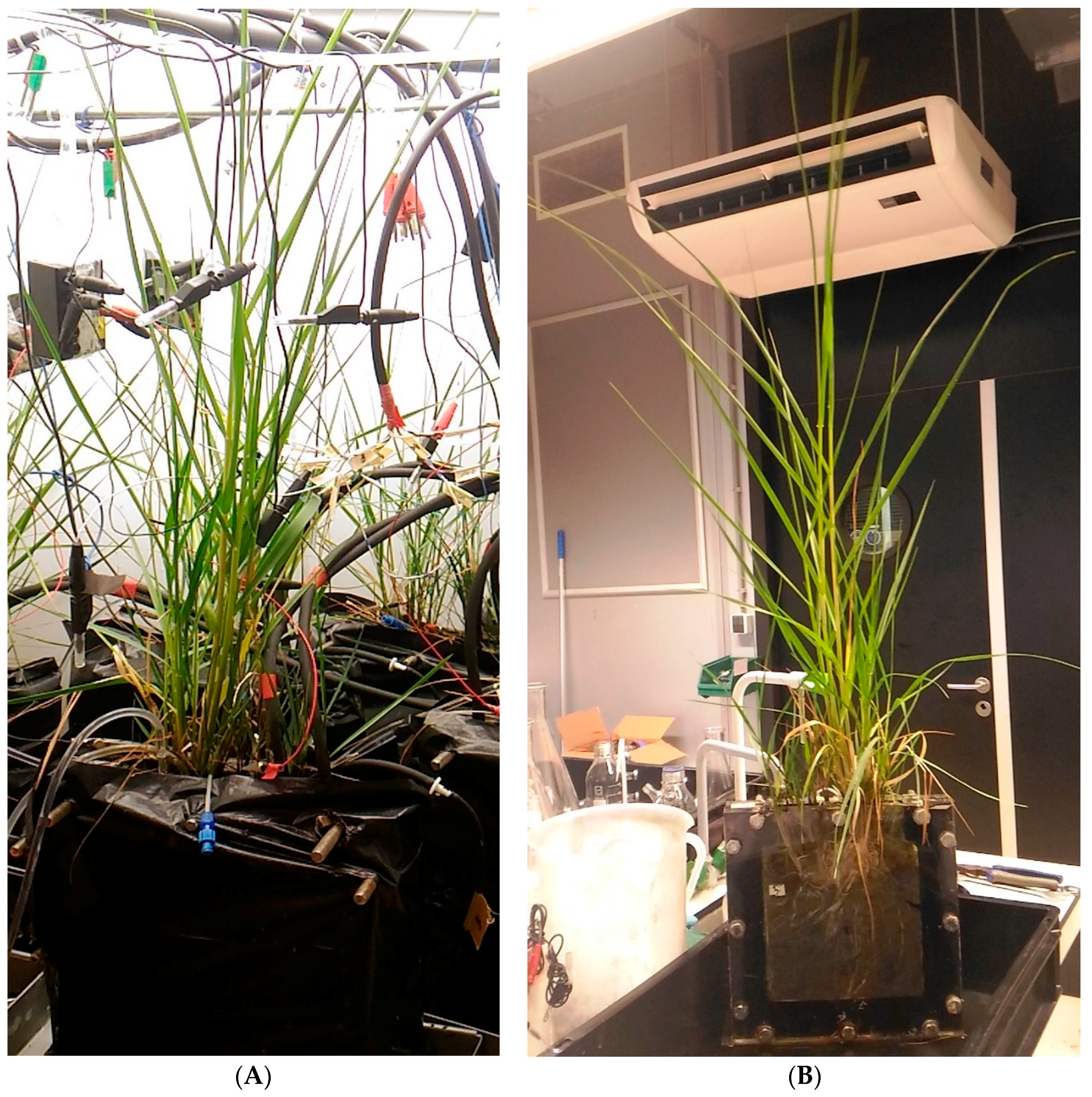 Water 11 01810 g001 Water 11 01810 g001