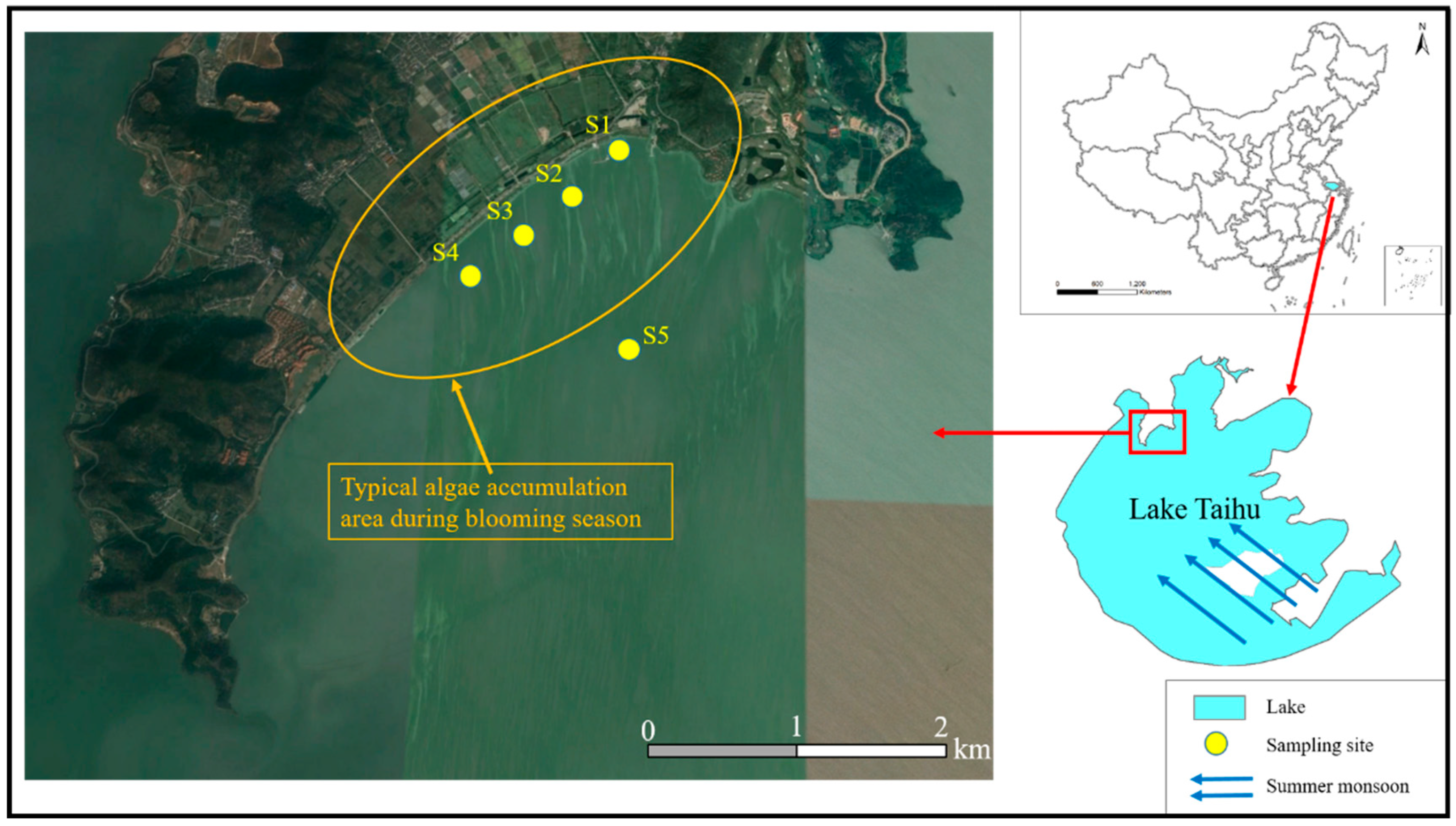 Water 11 01817 g001 Water 11 01817 g001