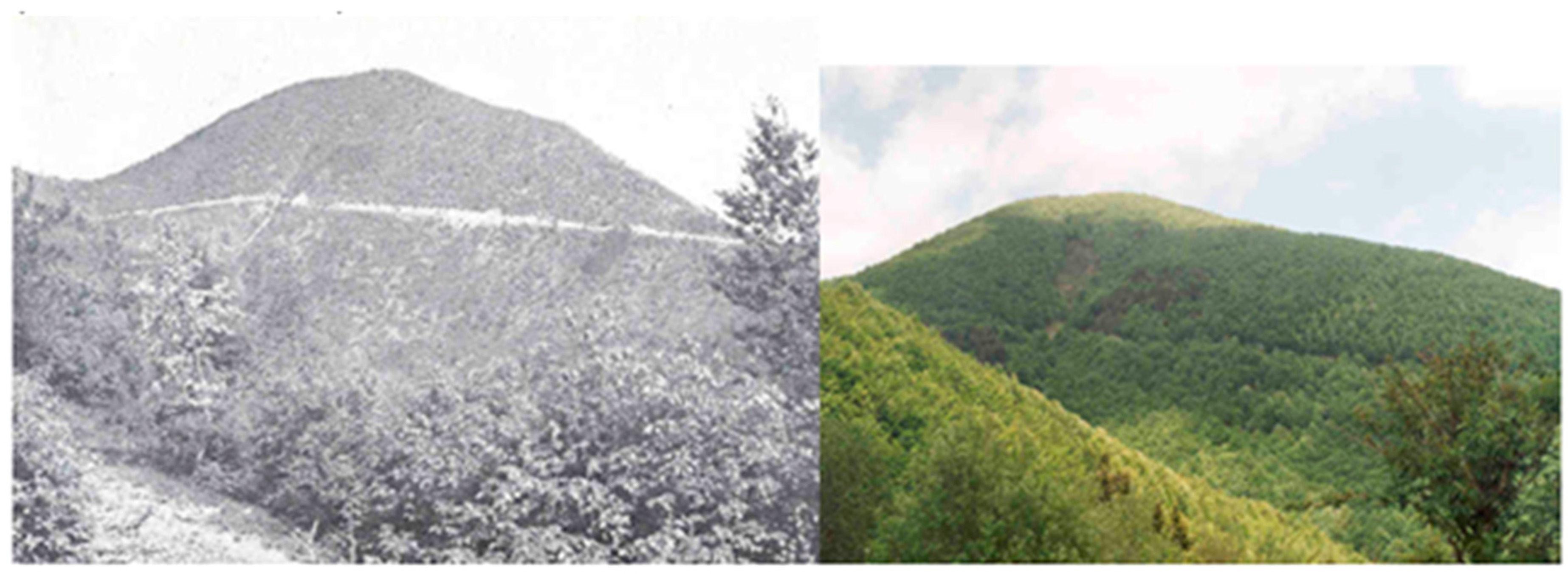 Water 11 01831 g003 Water 11 01831 g003