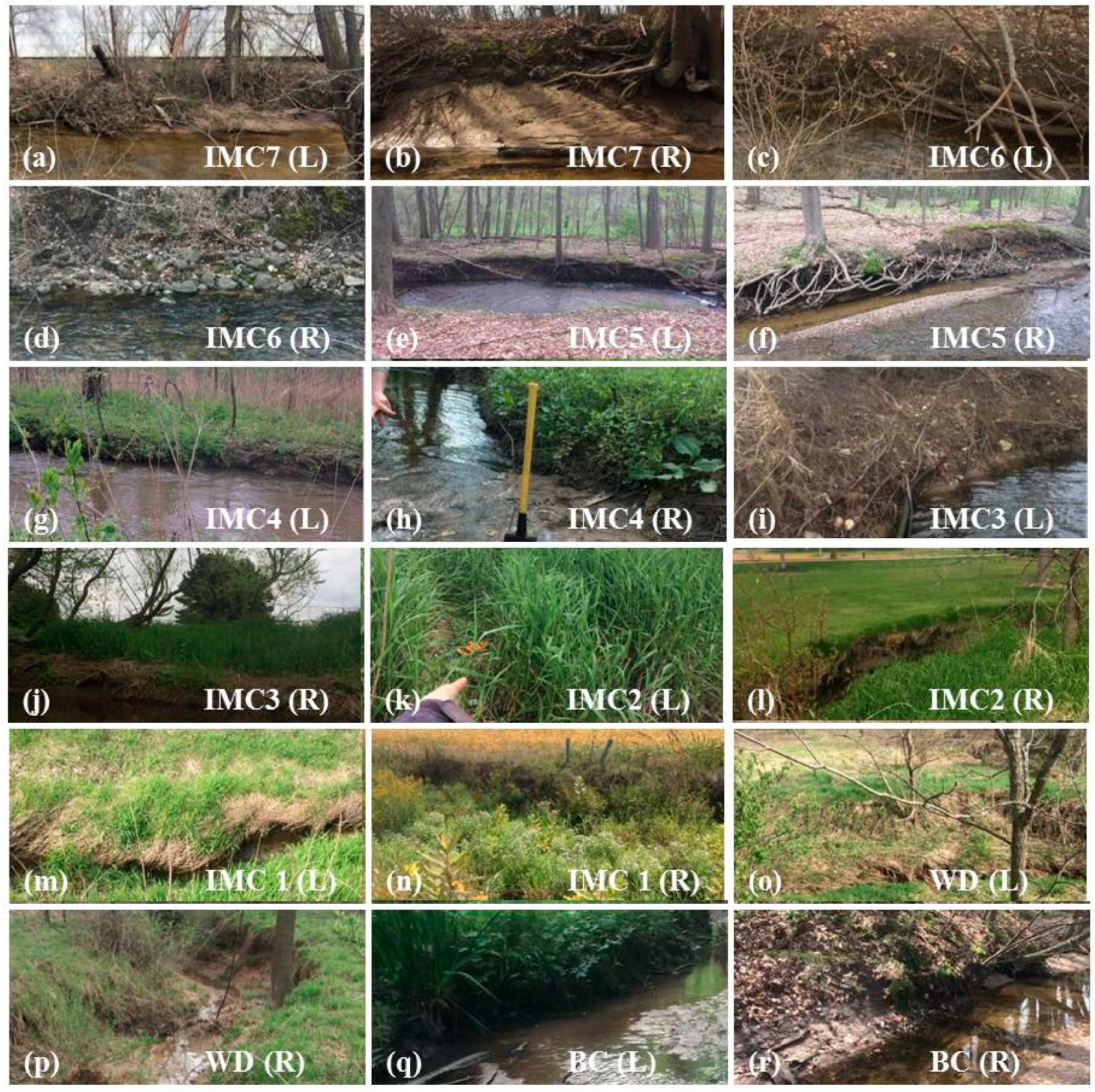 Water 11 01846 g004 Water 11 01846 g004