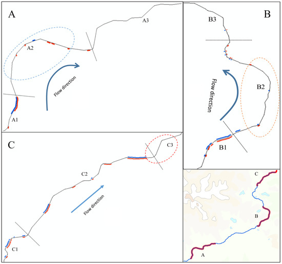 Algae Growth Distribution and Key Prevention and Control
