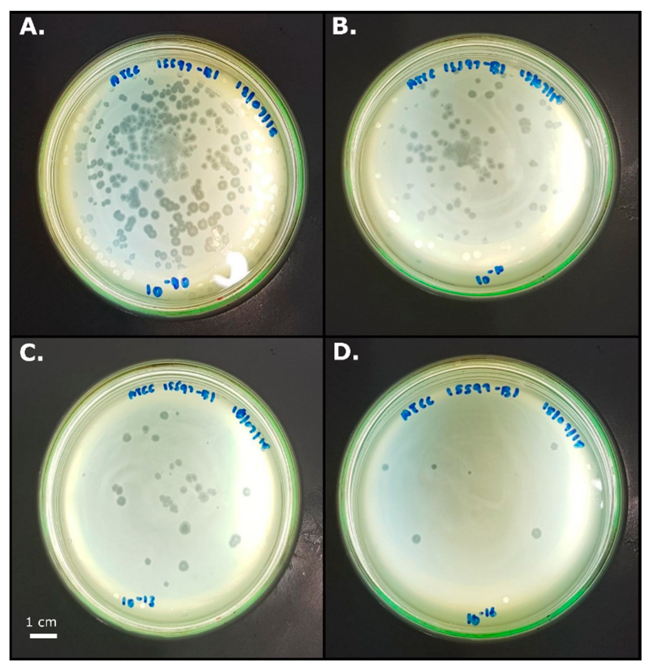 Water 11 01894 g006 Water 11 01894 g006