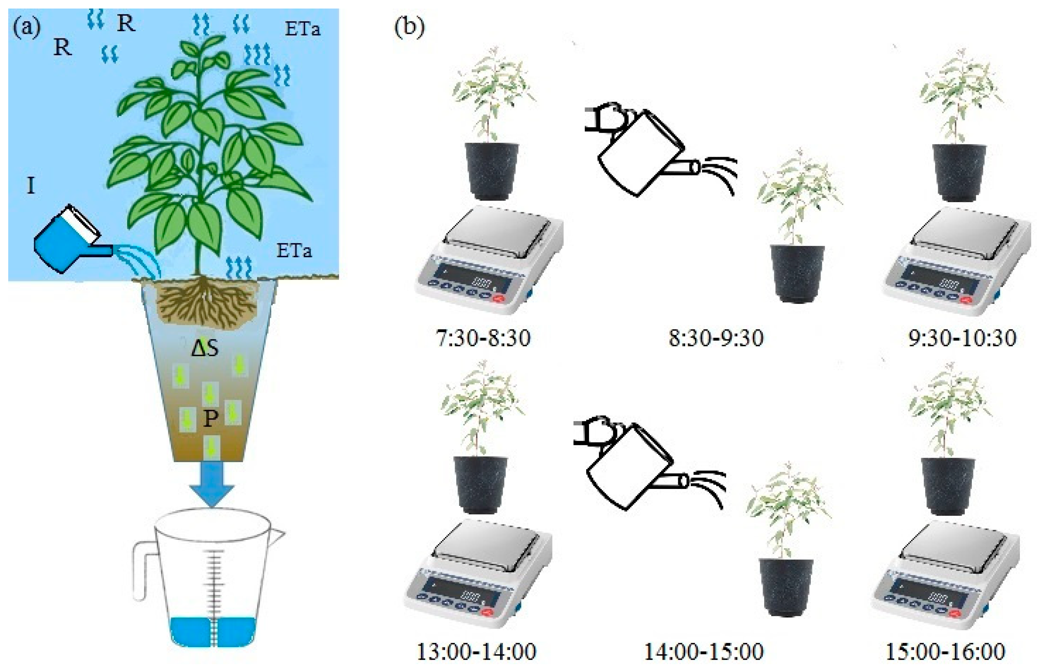 Water 11 01972 g003 Water 11 01972 g003
