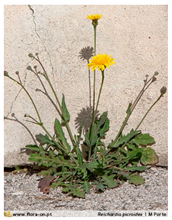 Water 11 02016 i001 Water 11 02016 i001