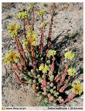 Water 11 02016 i002 Water 11 02016 i002