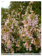 Water 11 02016 i003 Water 11 02016 i003