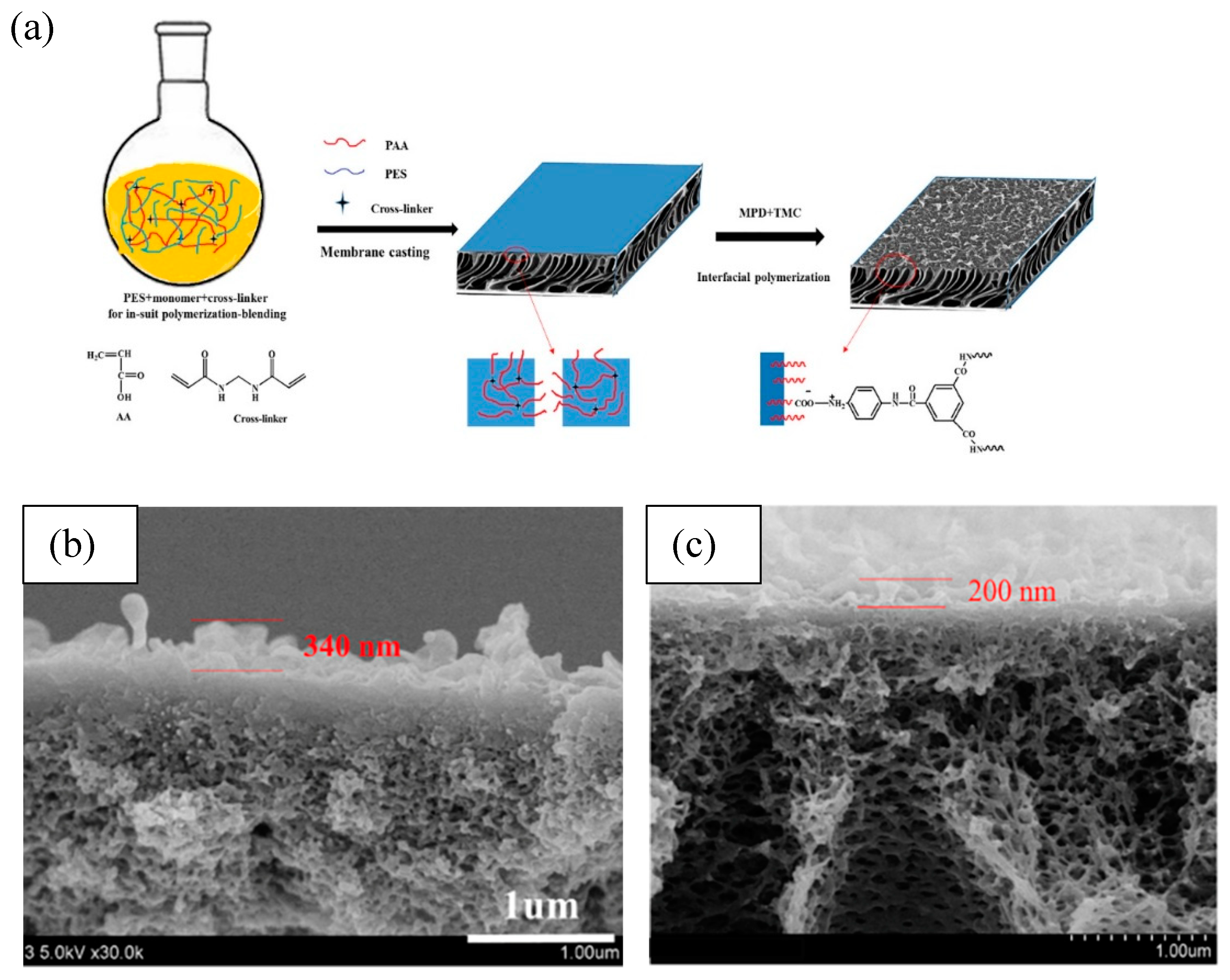 Water 11 02043 g002 Water 11 02043 g002