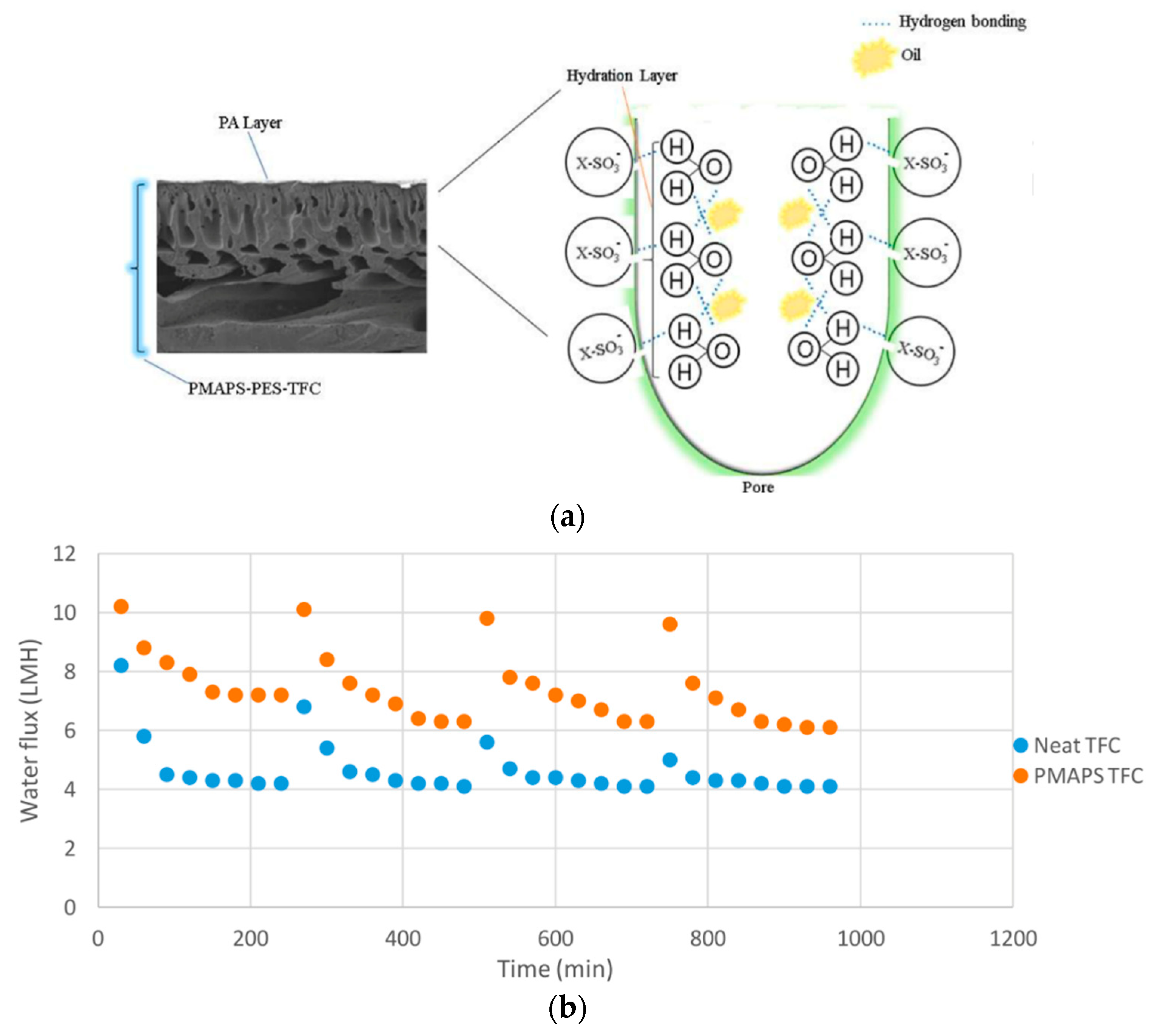 Ro Membrane Comparison Chart