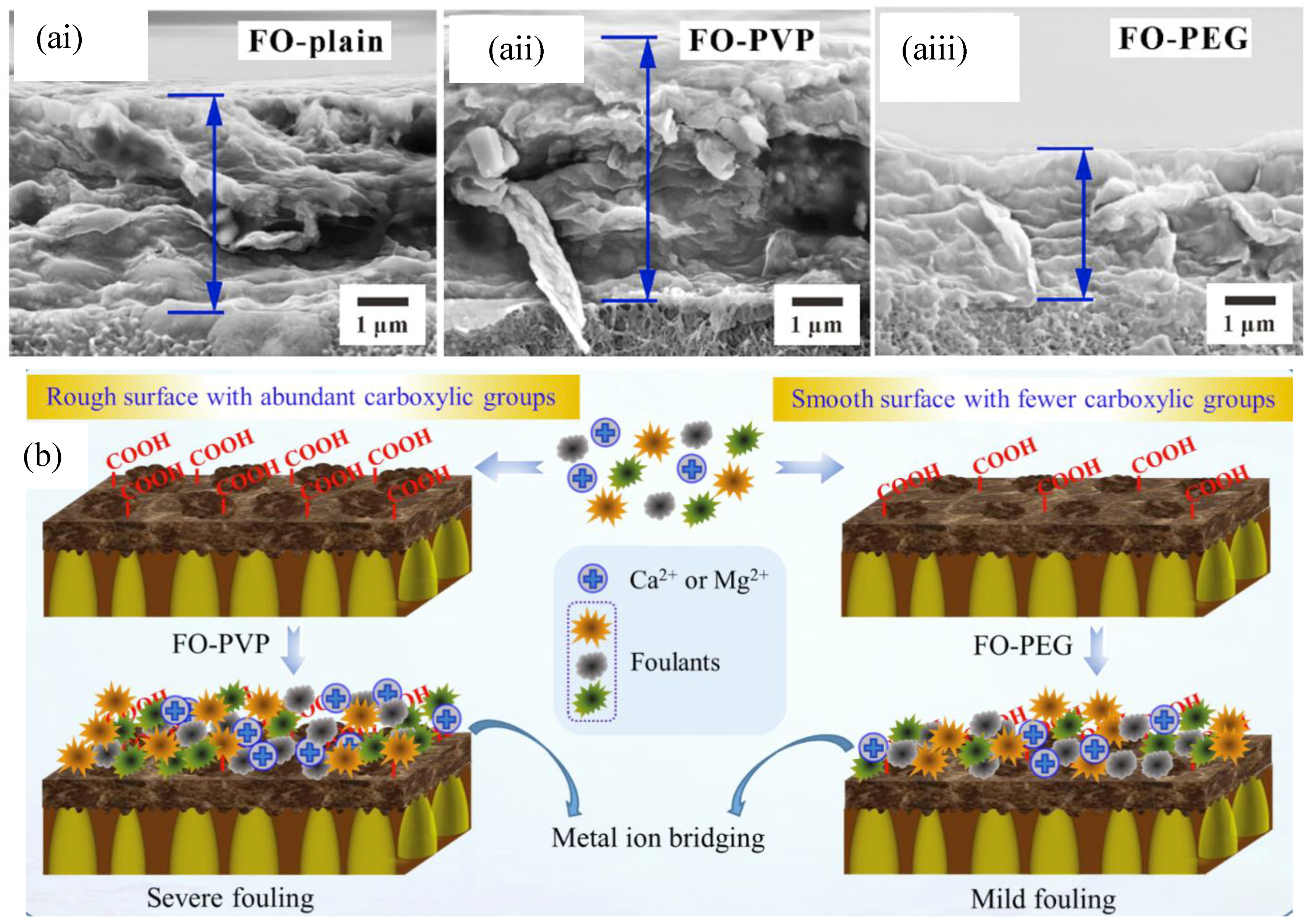 Water 11 02043 g010 Water 11 02043 g010
