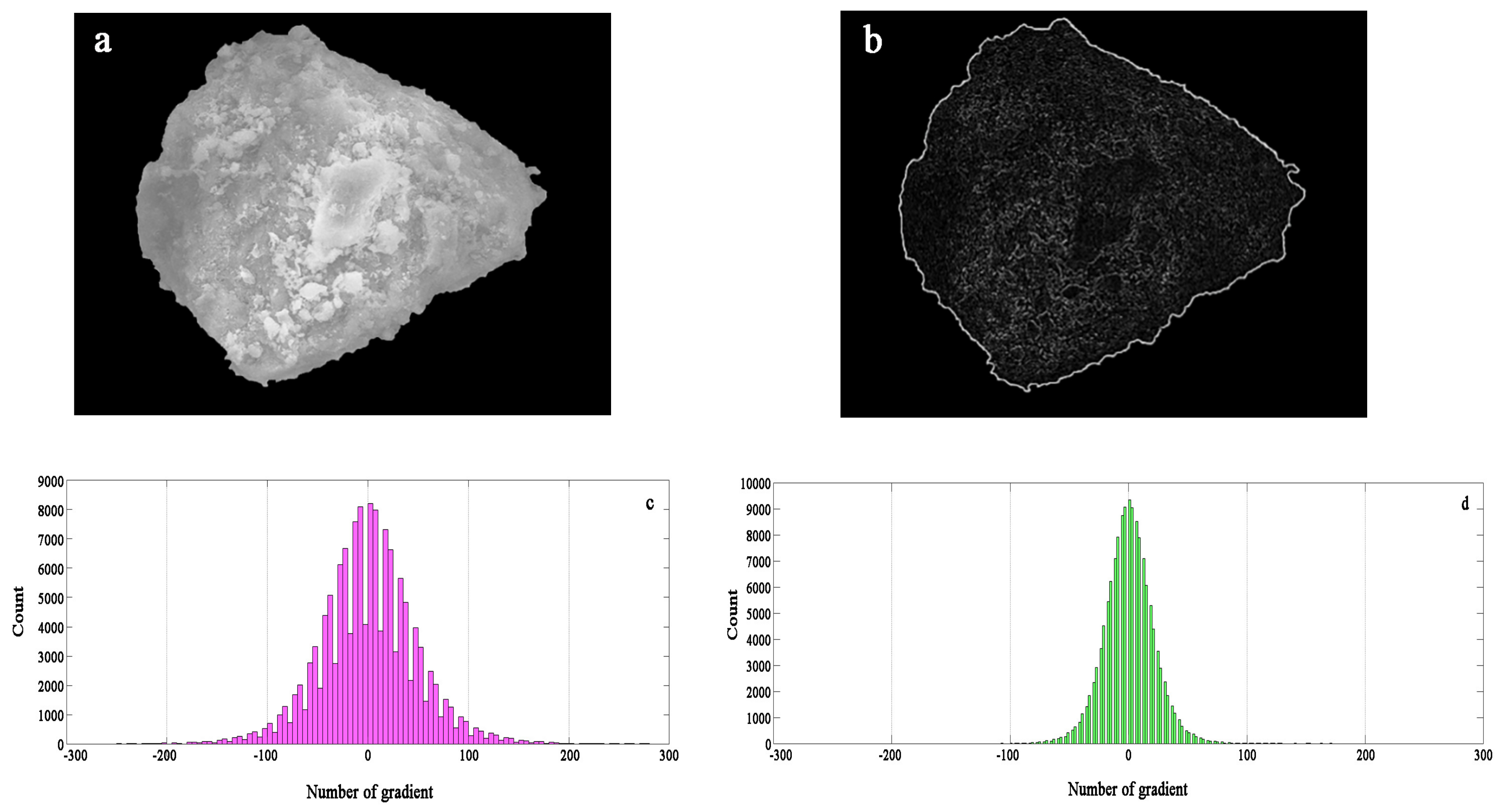 Water 11 02053 g014 550