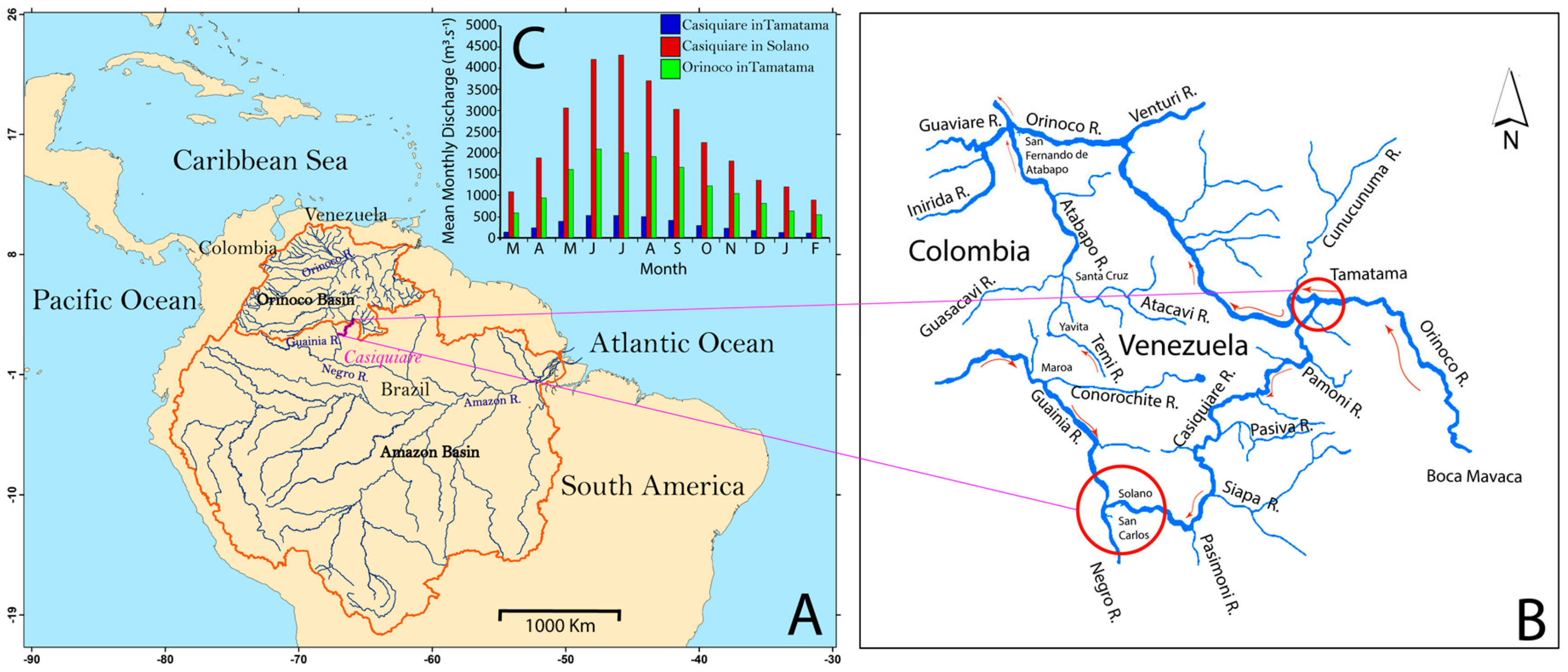 Water Free Full Text Water And Sediment Budget Of Casiquiare Channel Linking Orinoco And Amazon Catchments Venezuela Html