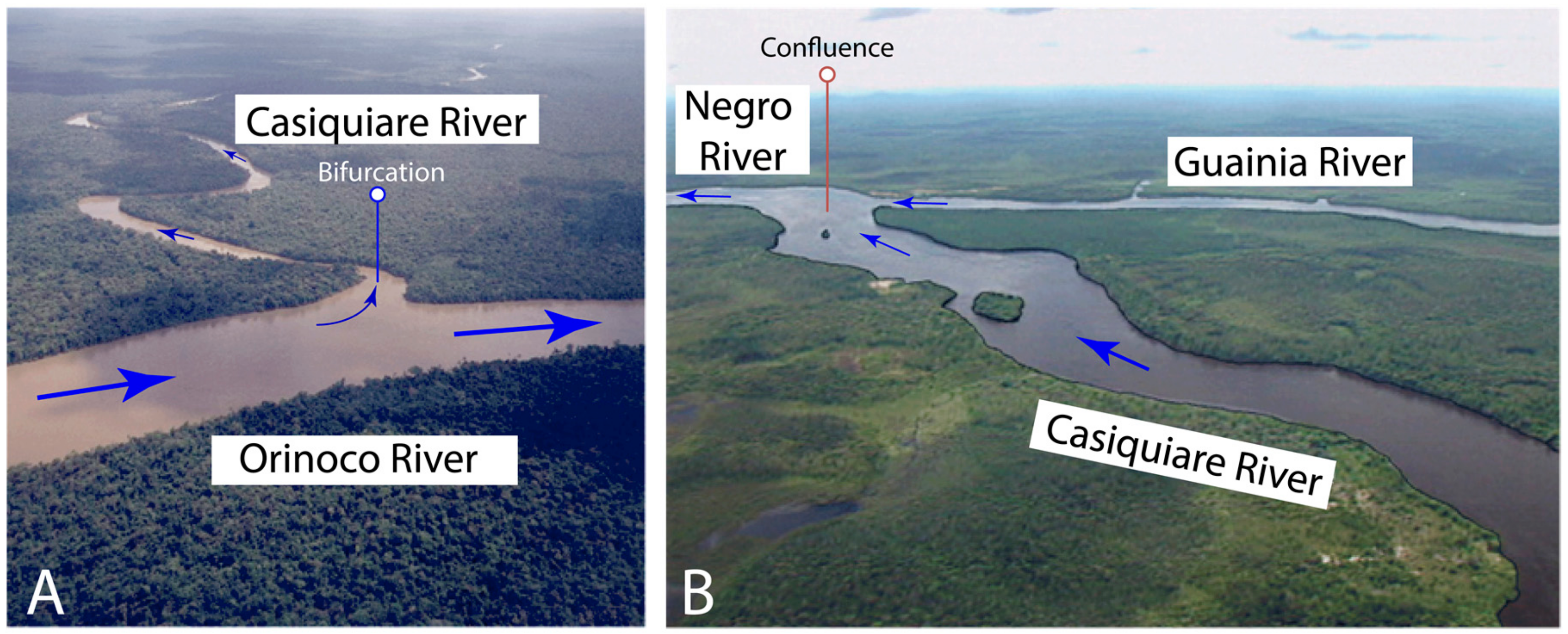 Water 11 02068 g004 550