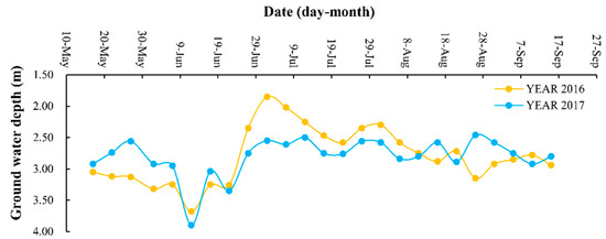Effects of Irrigation Water Salinity on Maize (Zea may L.) Emergence ...