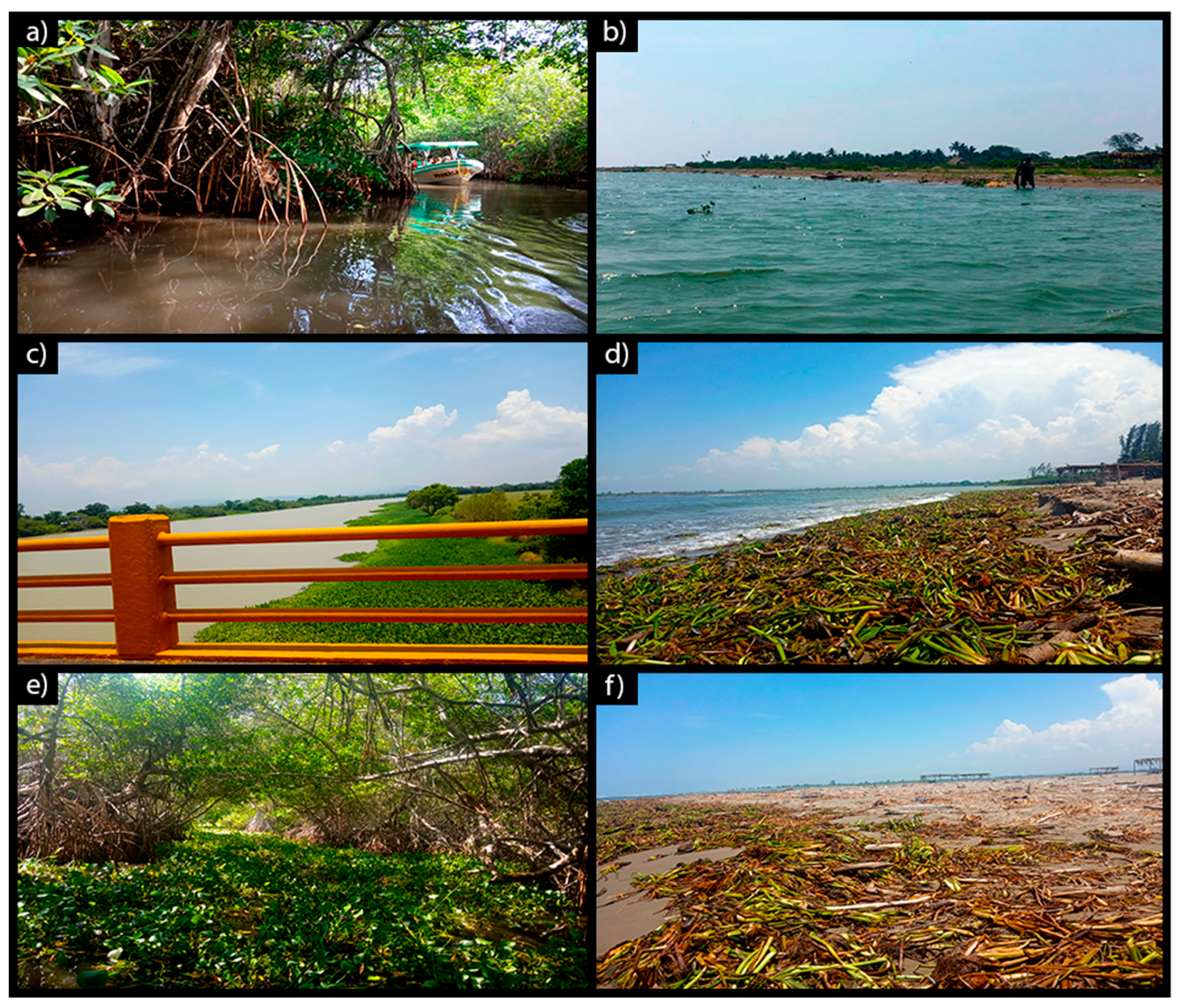 Water 11 02143 g008 Water 11 02143 g008