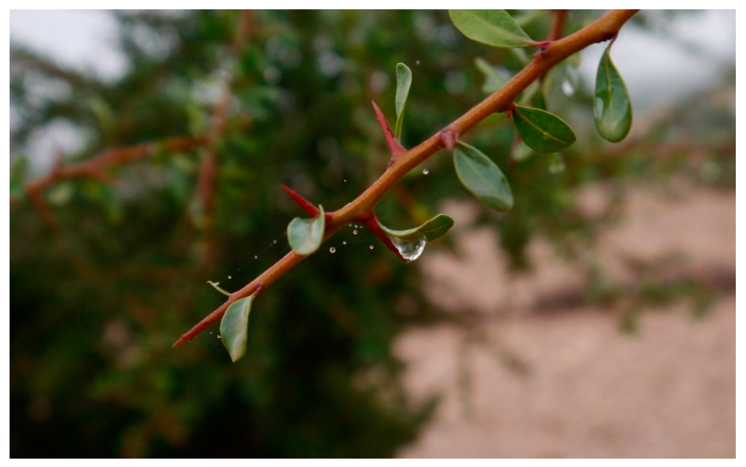 Water 11 02193 g013 Water 11 02193 g013