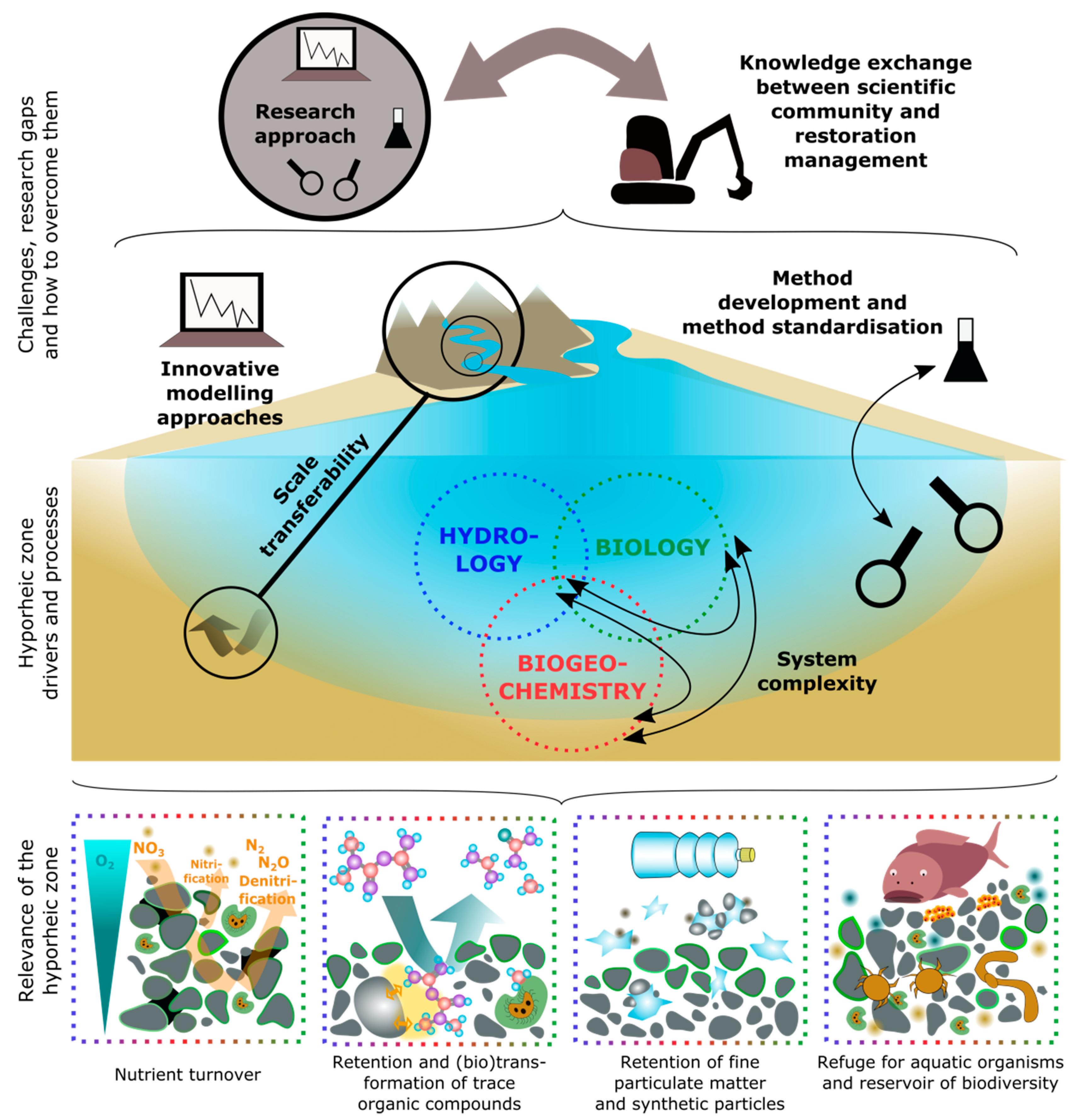 Water Free Full Text Is The Hyporheic Zone Relevant Beyond The Scientific Community Html Water Free Full Text Is The Hyporheic Zone Relevant Beyond The Scientific Community Html