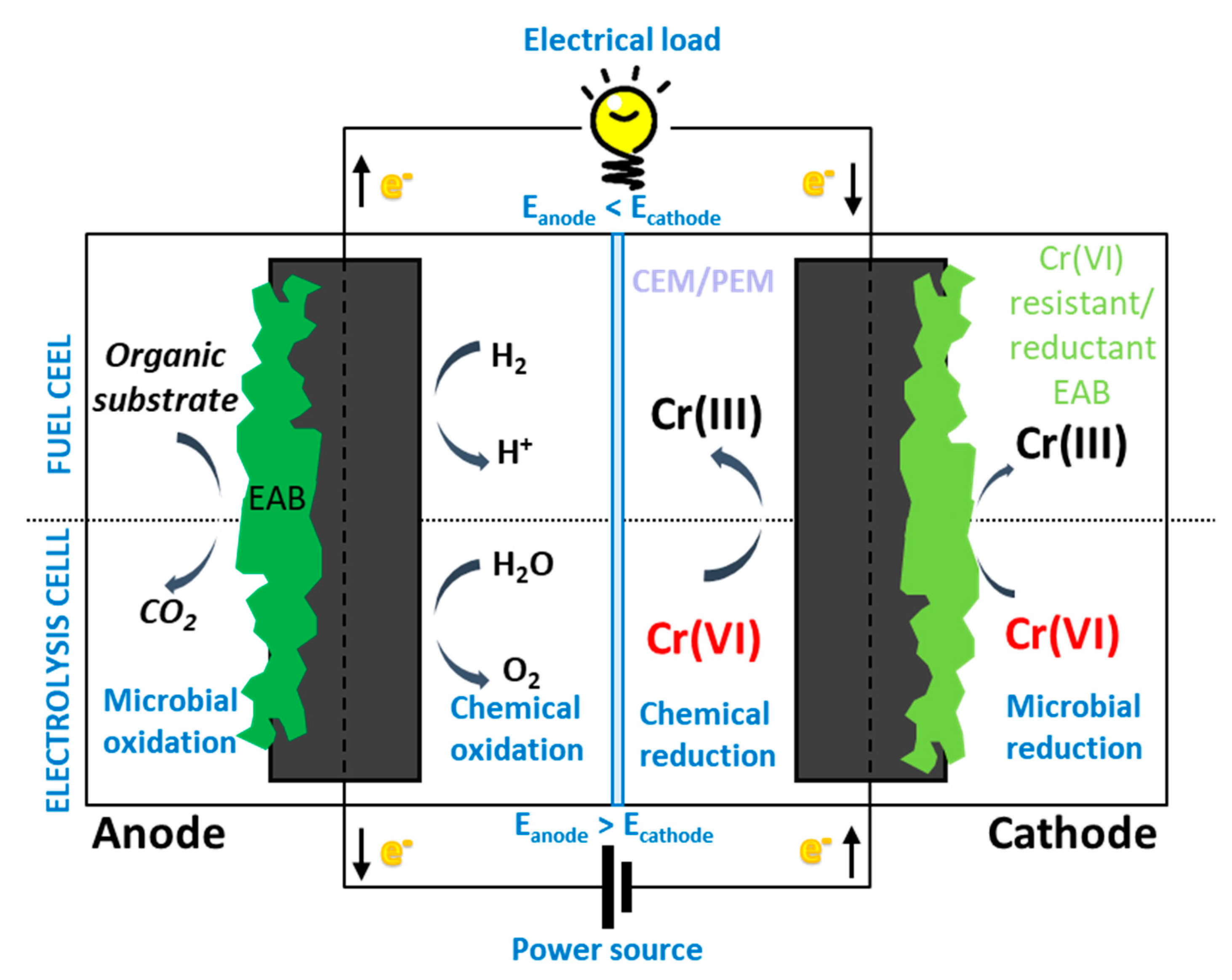 Water 11 02336 g001 Water 11 02336 g001