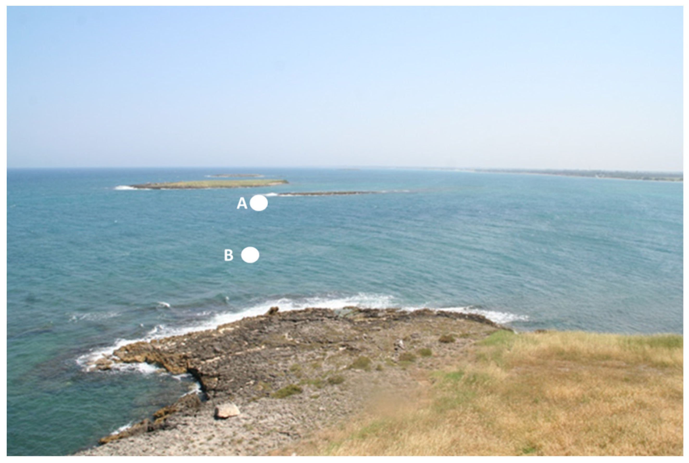 Water 11 02409 g004 Water 11 02409 g004