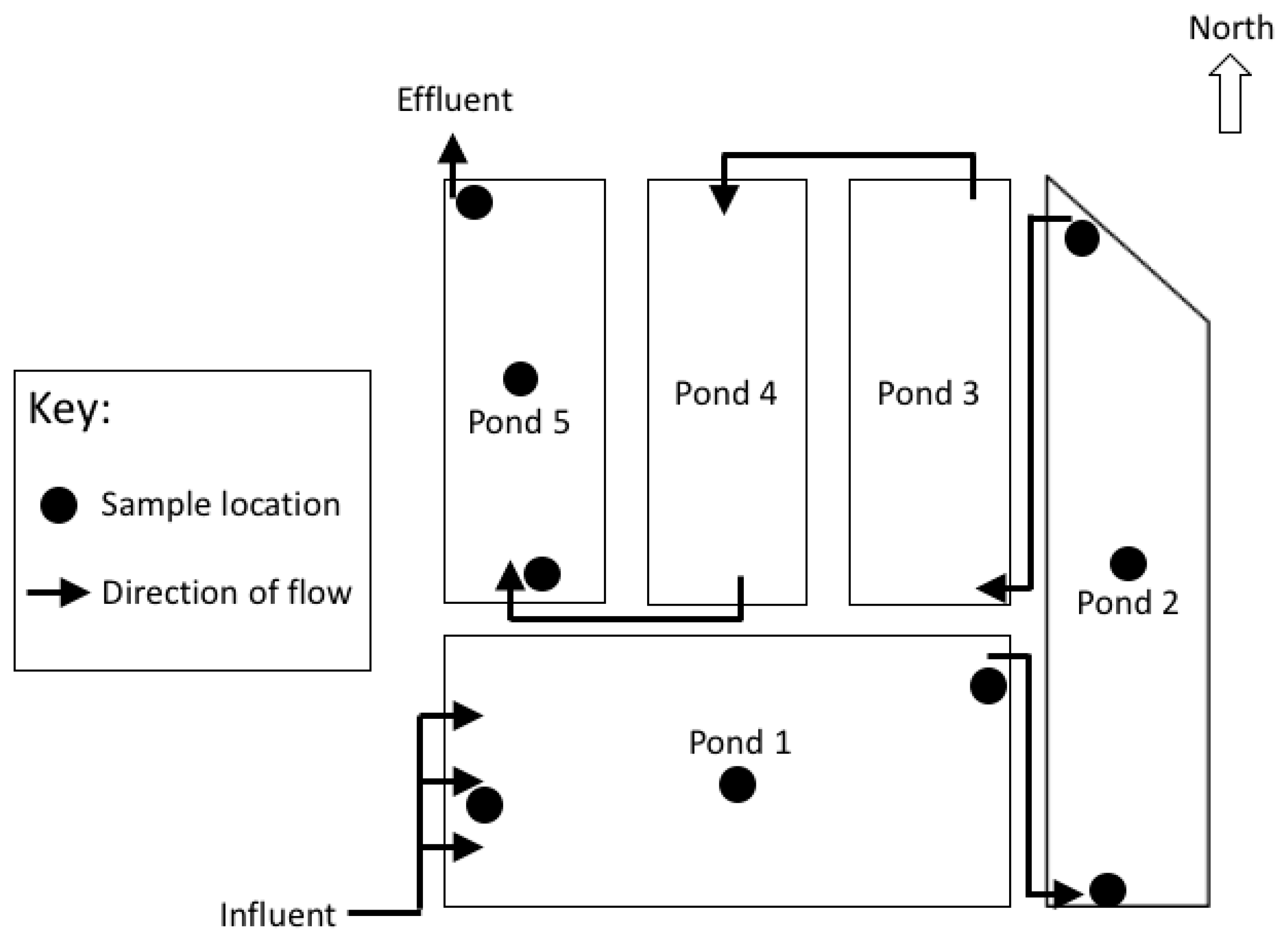 Wastewater Bacteria Chart