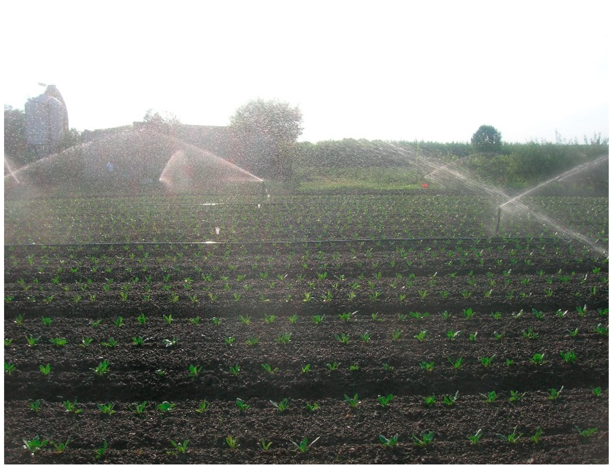 Water 11 02473 g002 Water 11 02473 g002