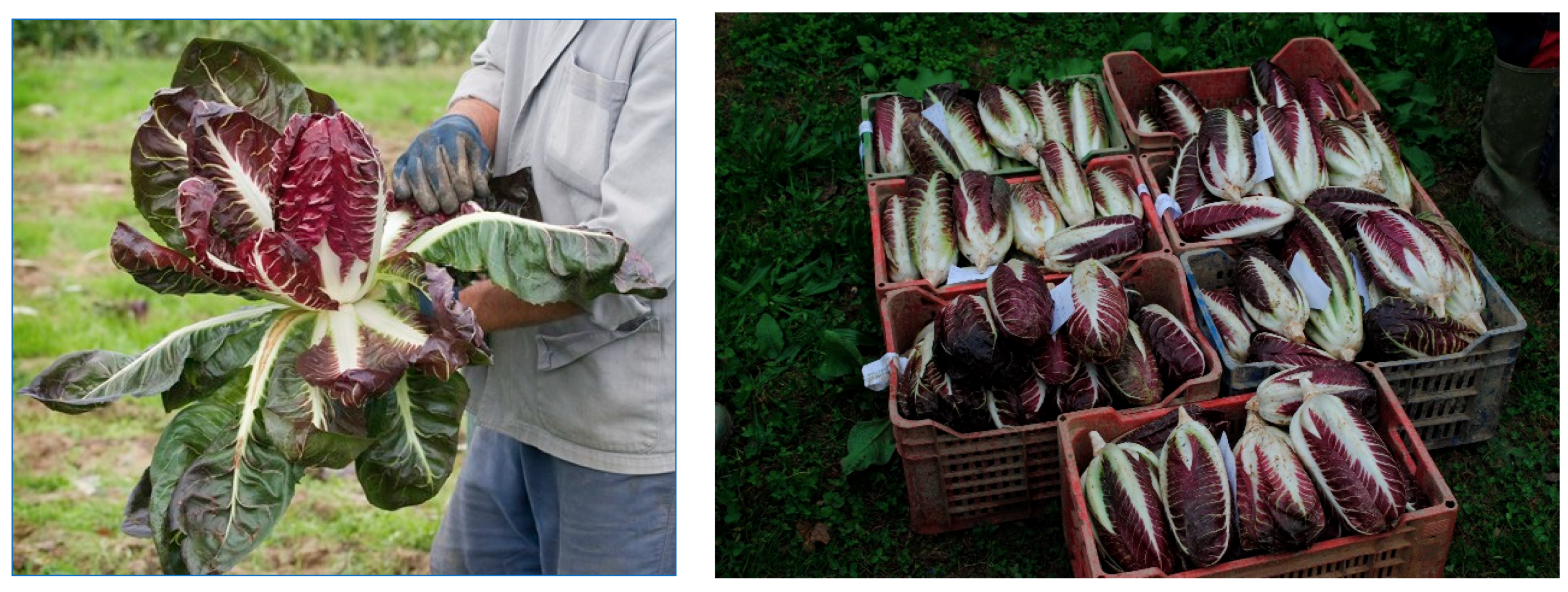 Water 11 02473 g003 Water 11 02473 g003