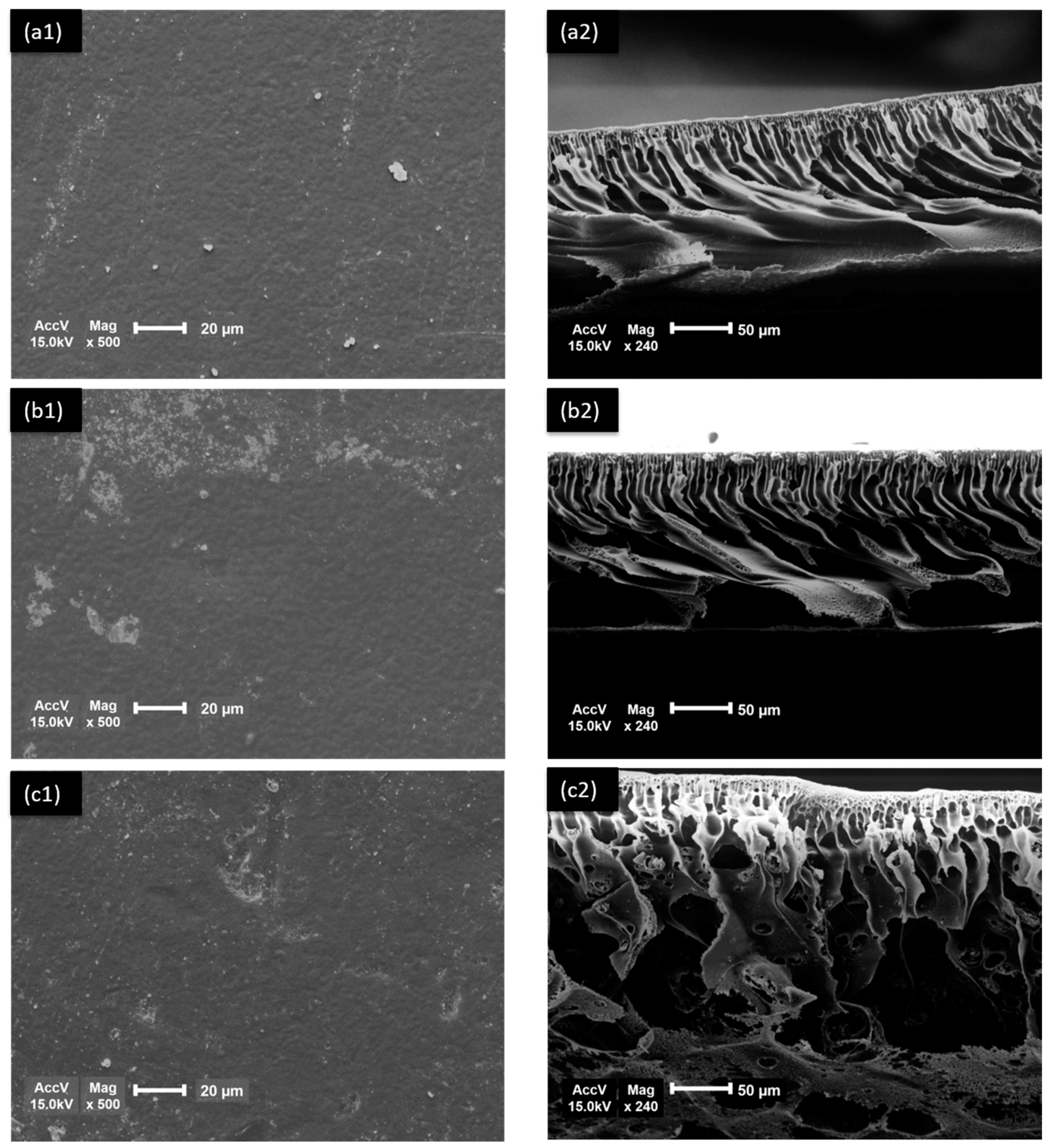 Water 11 02540 g003 Water 11 02540 g003