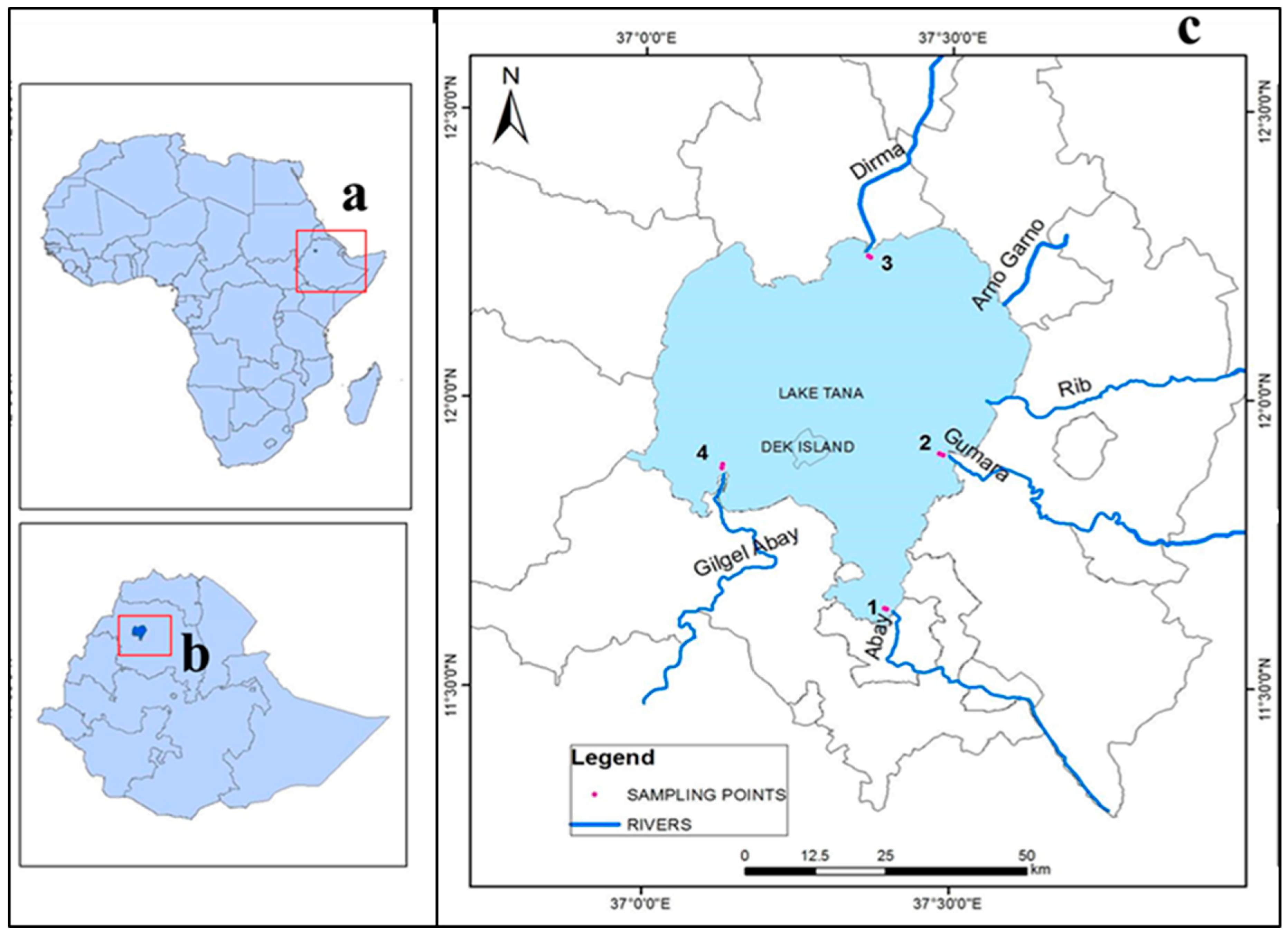 Water 11 02560 g001 Water 11 02560 g001