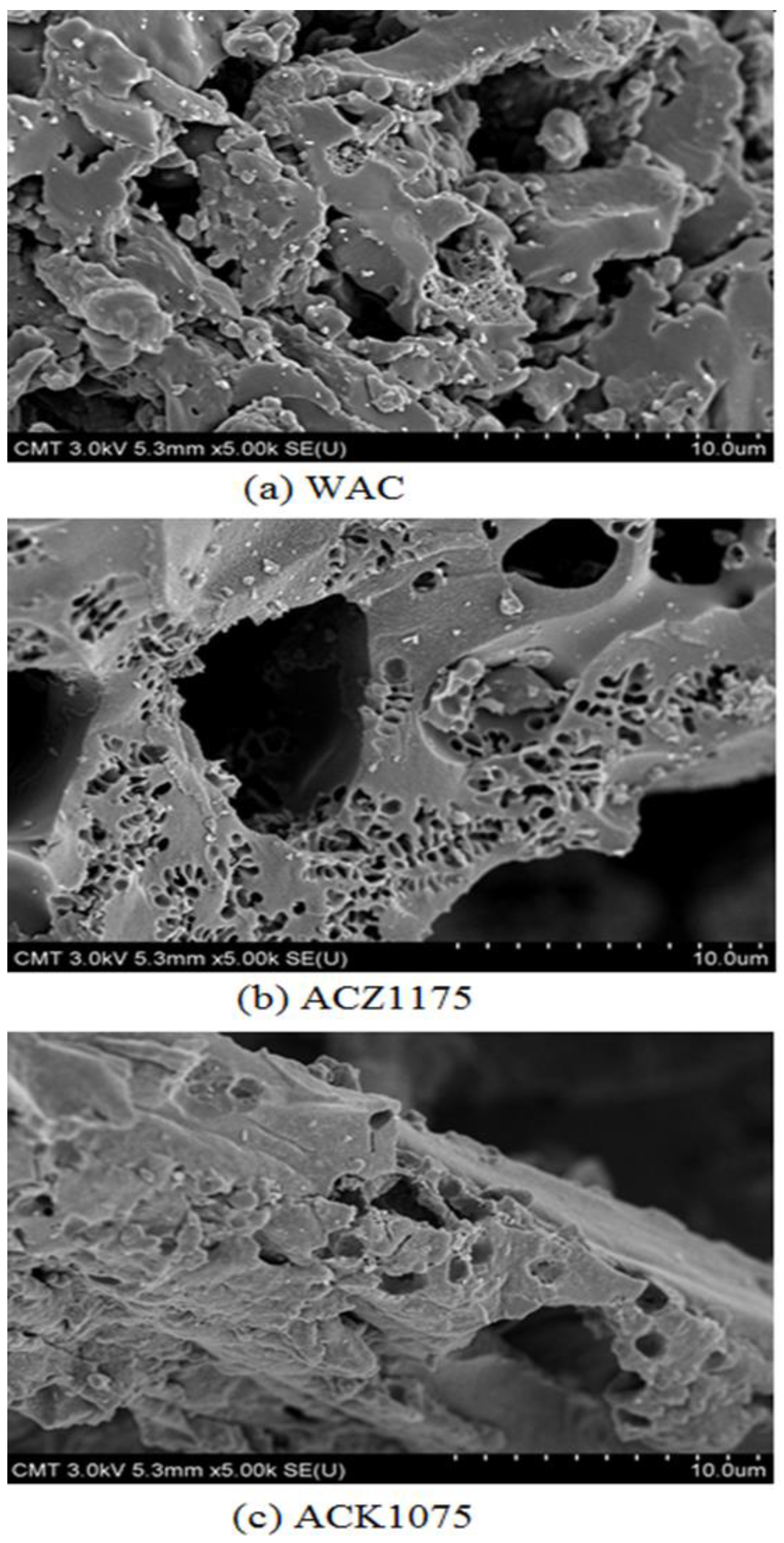 Water 11 02581 g002 Water 11 02581 g002