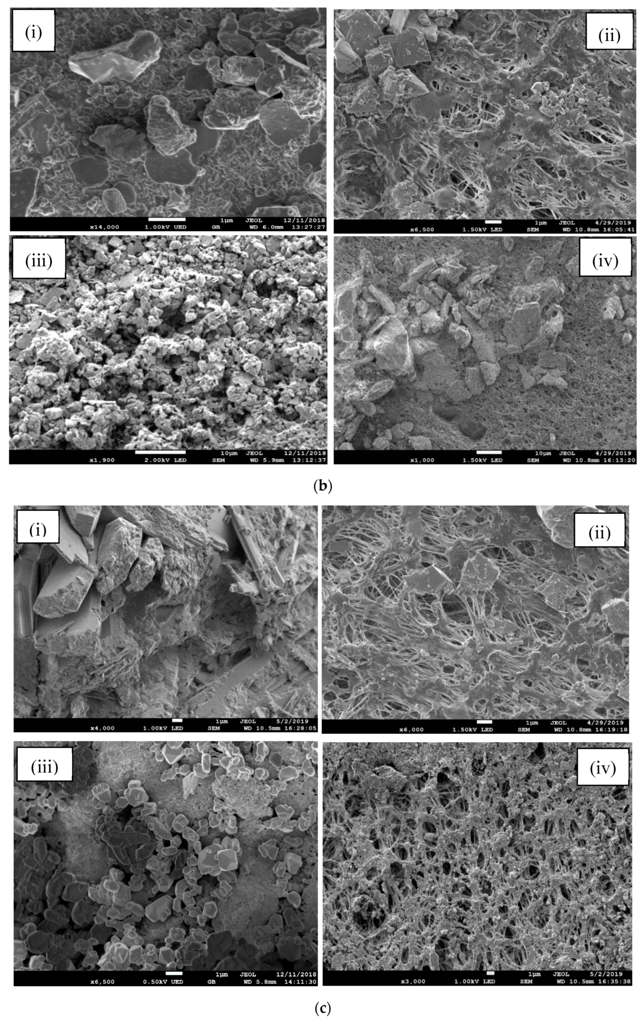 Water 11 02588 g007b Water 11 02588 g007b