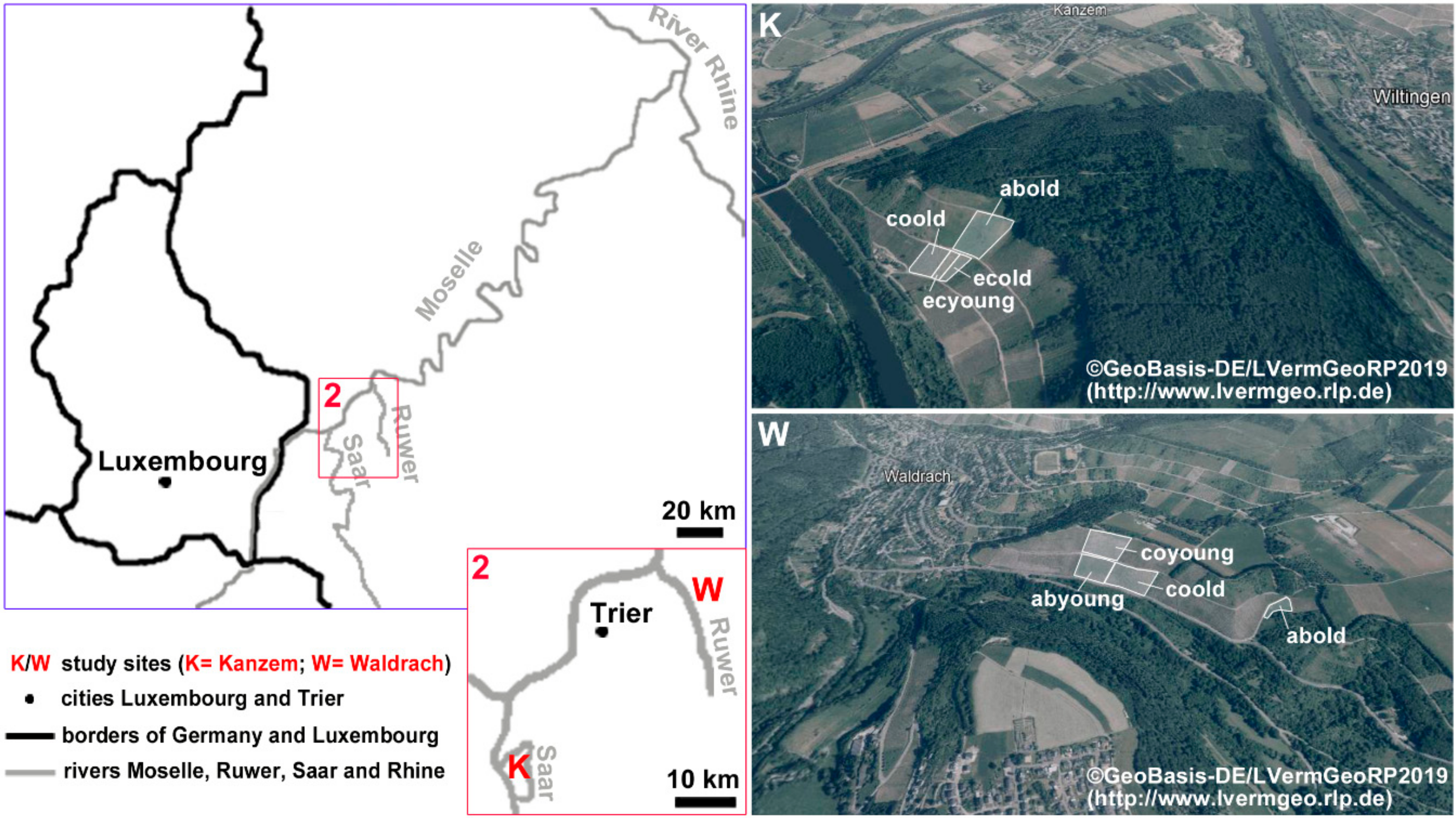 Water Free Full Text Dynamics Of Runoff And Soil Erosion On Abandoned Steep Vineyards In The Mosel Area Germany Html