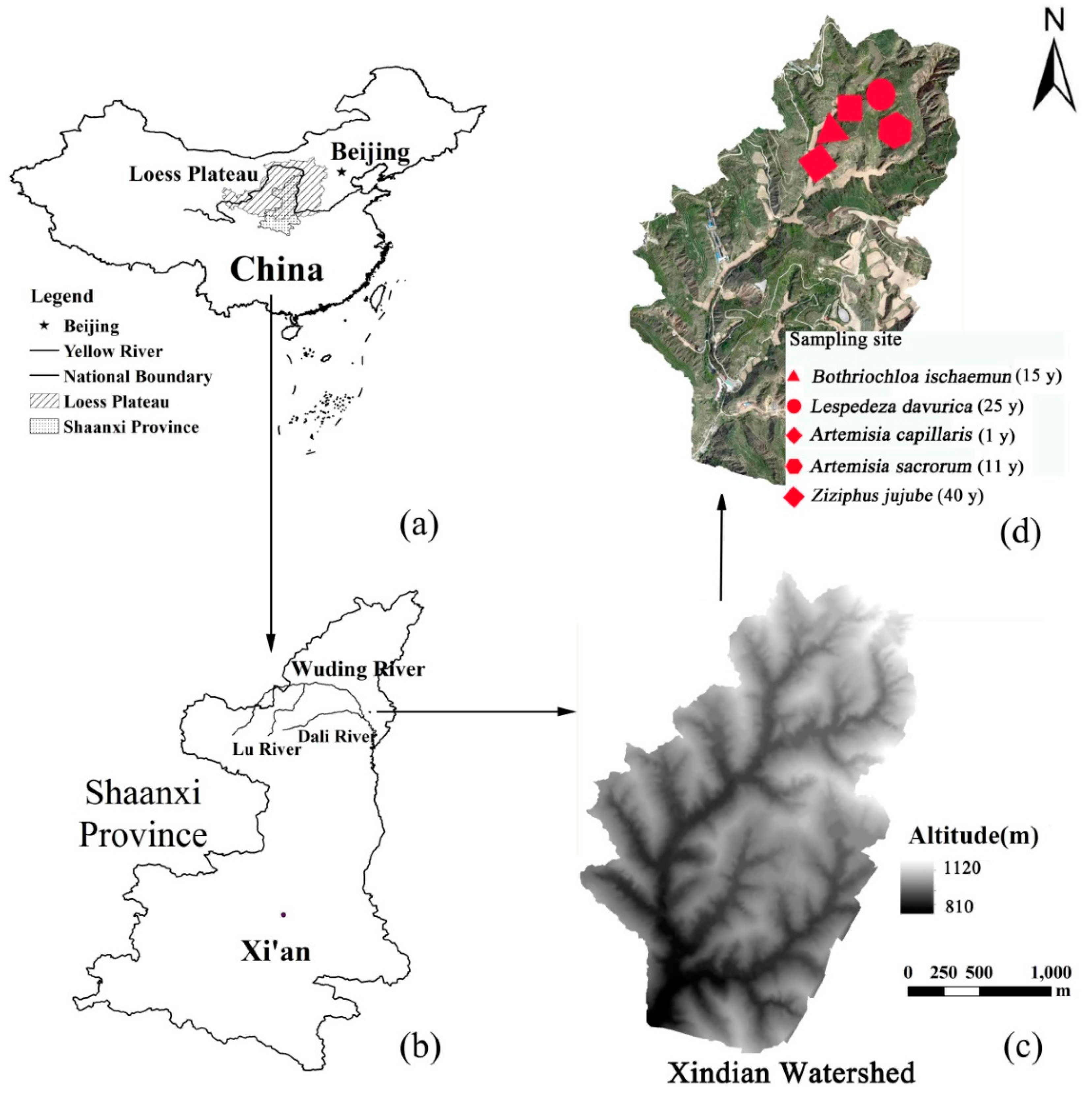 Water 11 02614 g001 Water 11 02614 g001